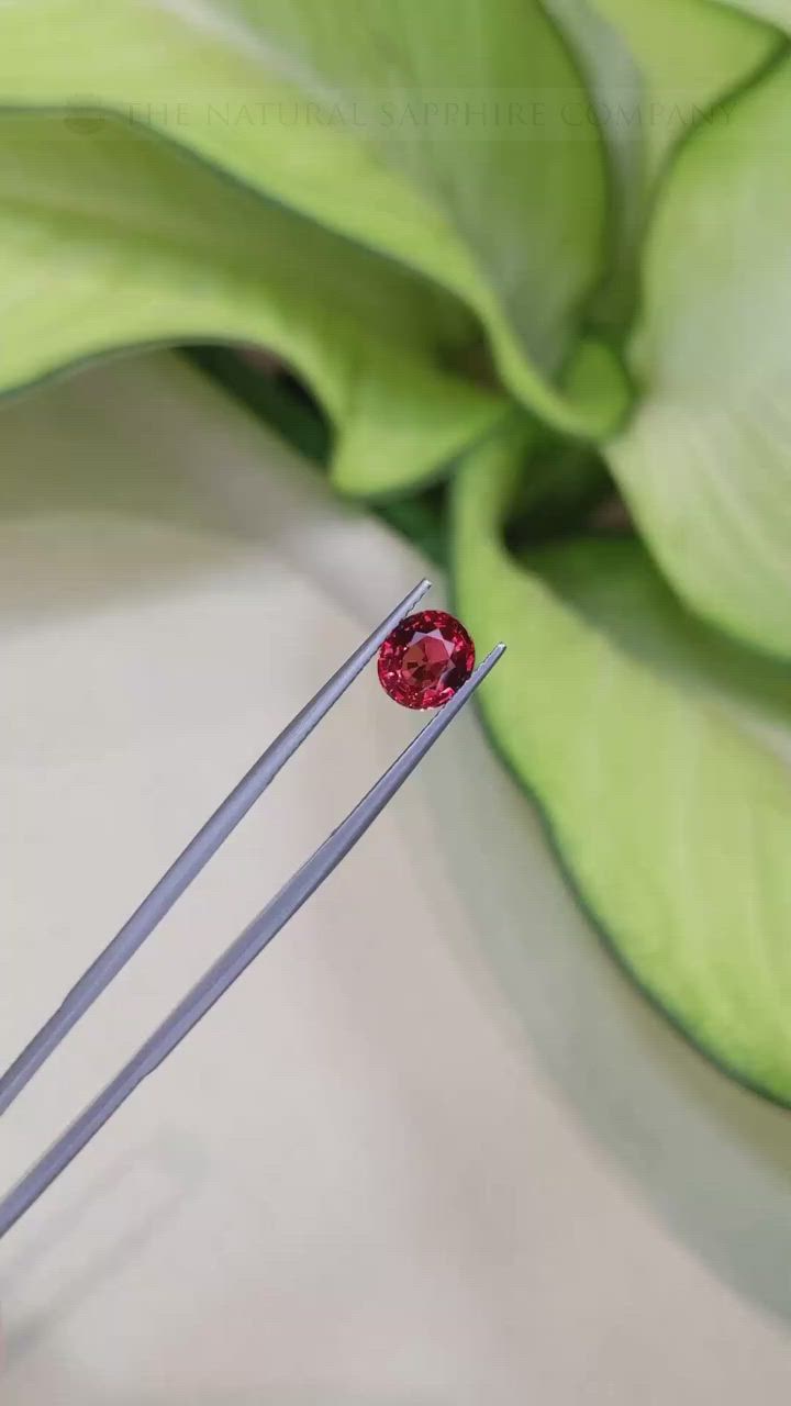 2.36 Ct. Ruby from Ceylon (Sri Lanka) Size Video