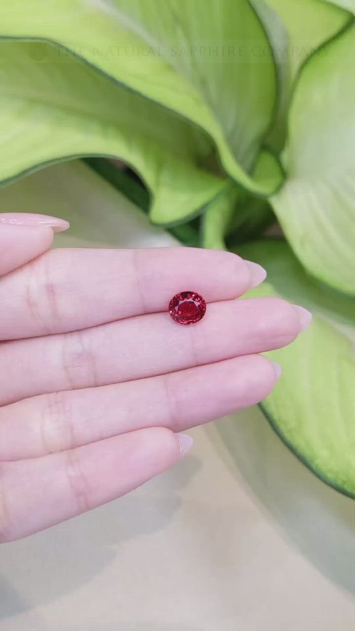 2.36 Ct. Ruby from Ceylon (Sri Lanka) Size Video