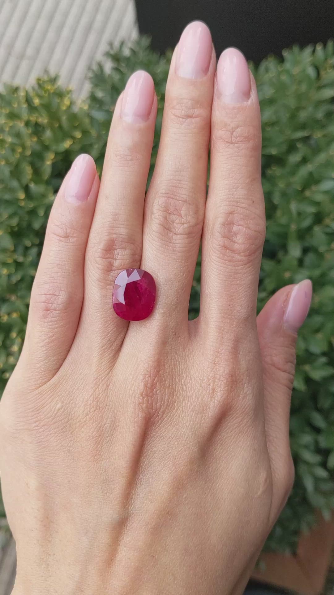 9.97 Ct. Ruby from Mozambique Size Video