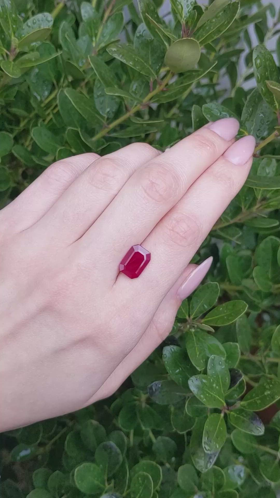 5.51 Ct. Ruby from Burma (Myanmar) Size Video