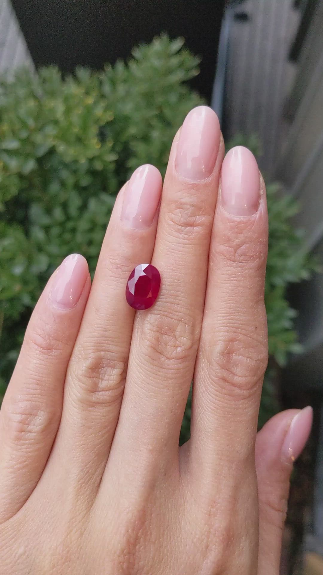 4.24 Ct. Ruby from Mozambique Size Video
