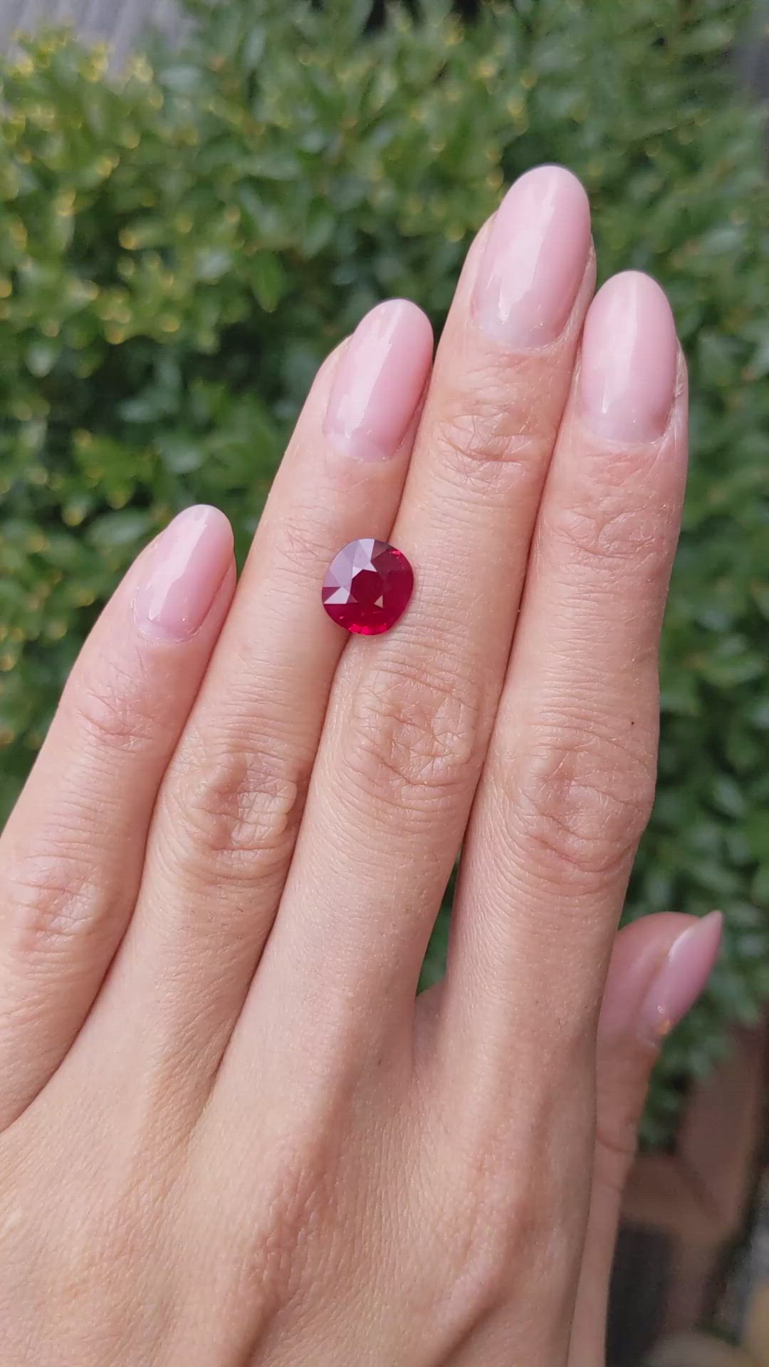 3.04 Ct. Ruby from Burma (Myanmar) Size Video