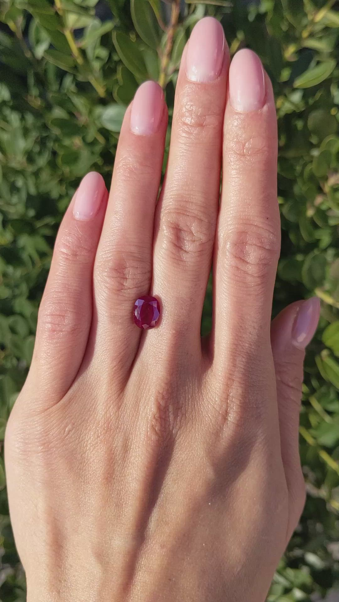 3.03 Ct. Ruby from Mozambique Size Video