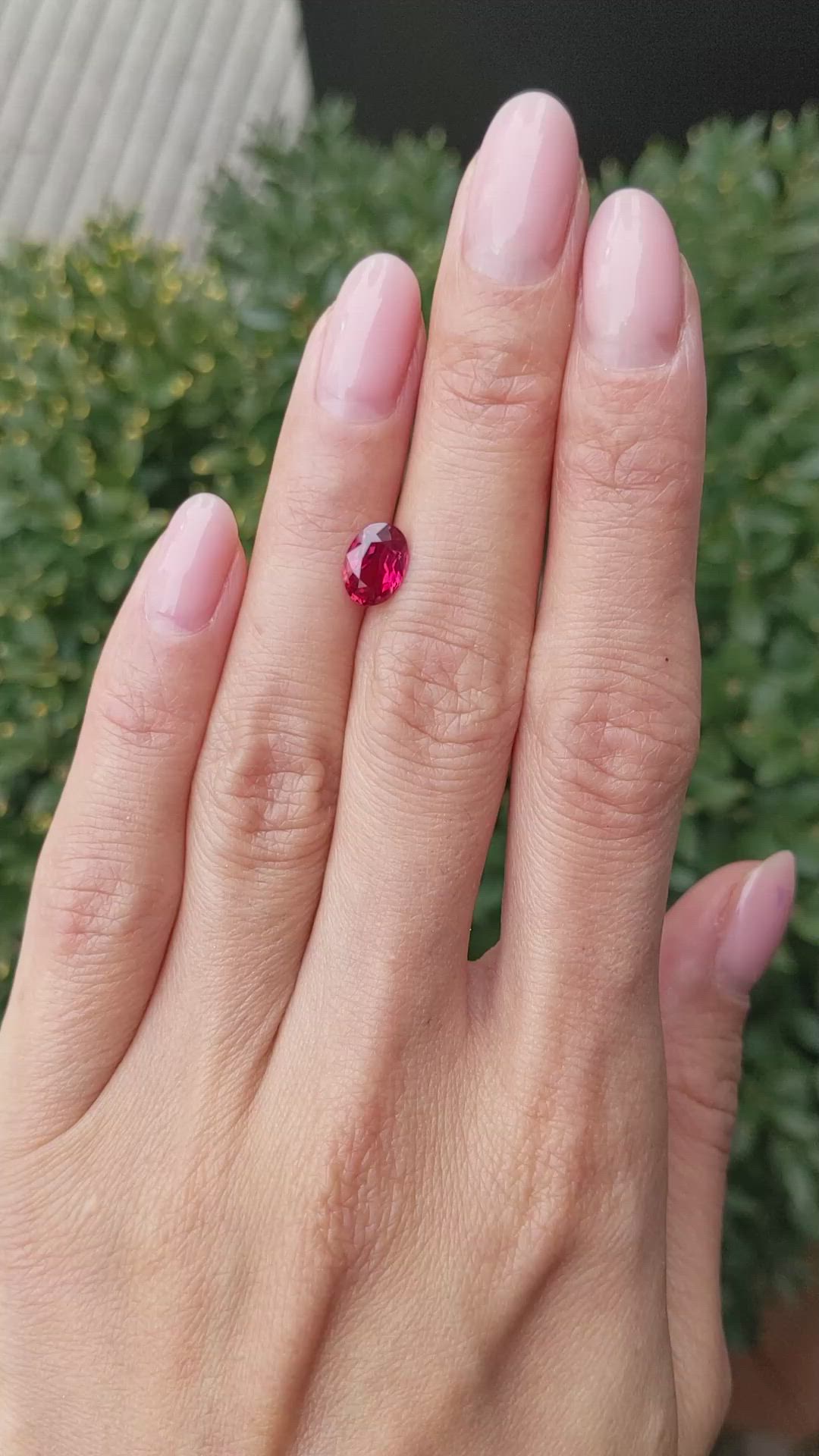 1.53 Ct. Ruby from Mozambique Size Video
