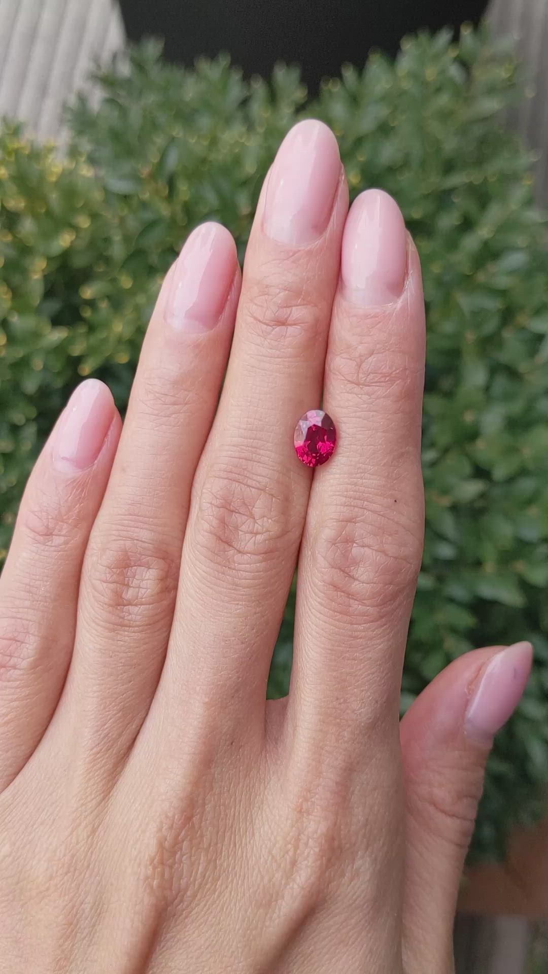 1.68 Ct. Ruby from Mozambique Size Video