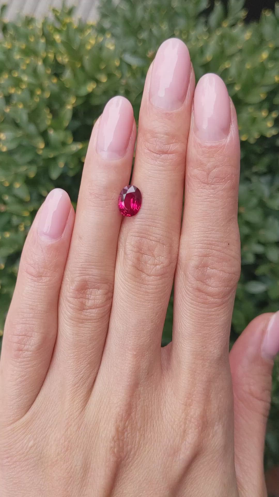 1.72 Ct. Ruby from Mozambique Size Video