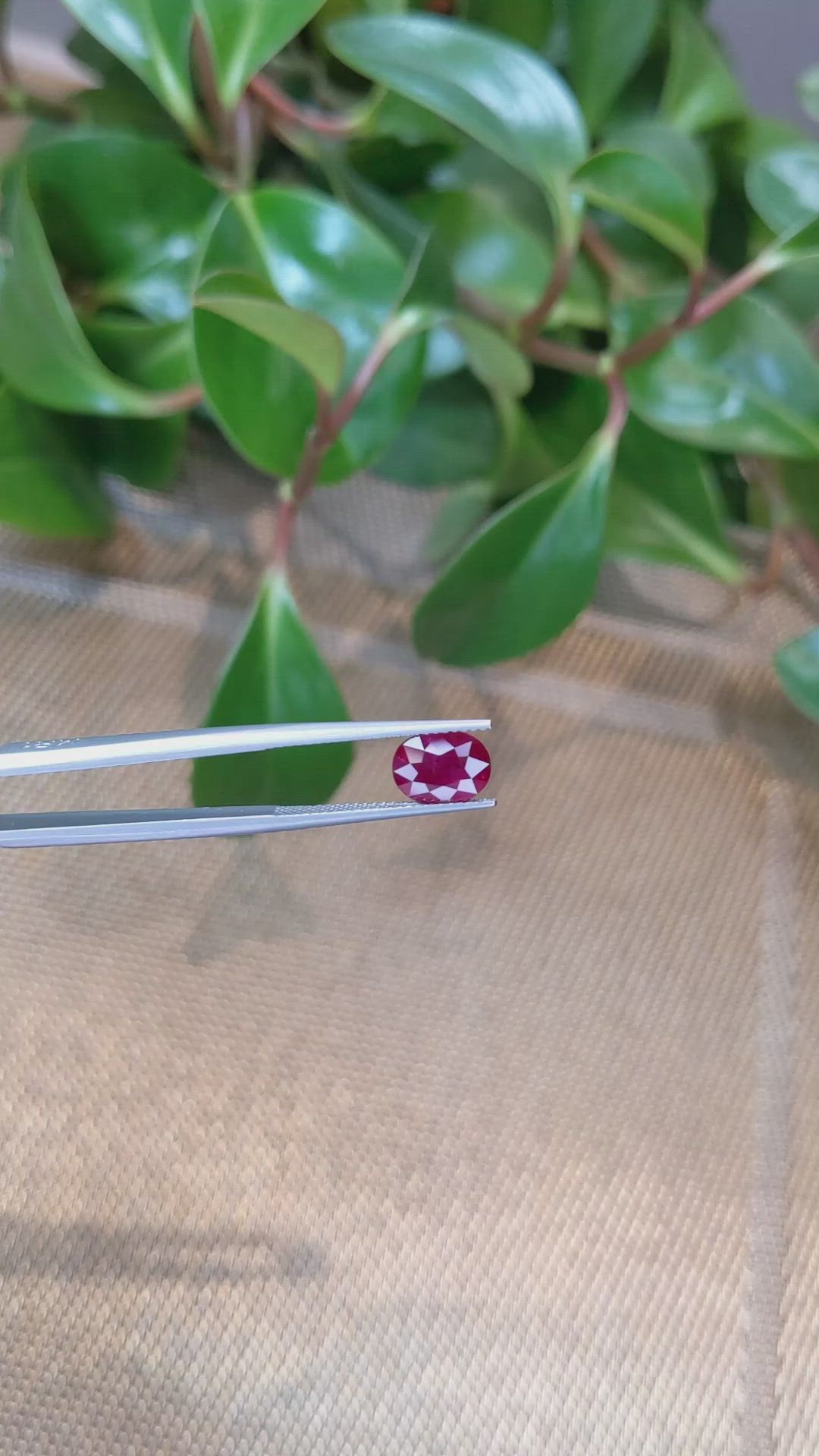 2.53 Ct. Ruby from Burma (Myanmar) Size Video