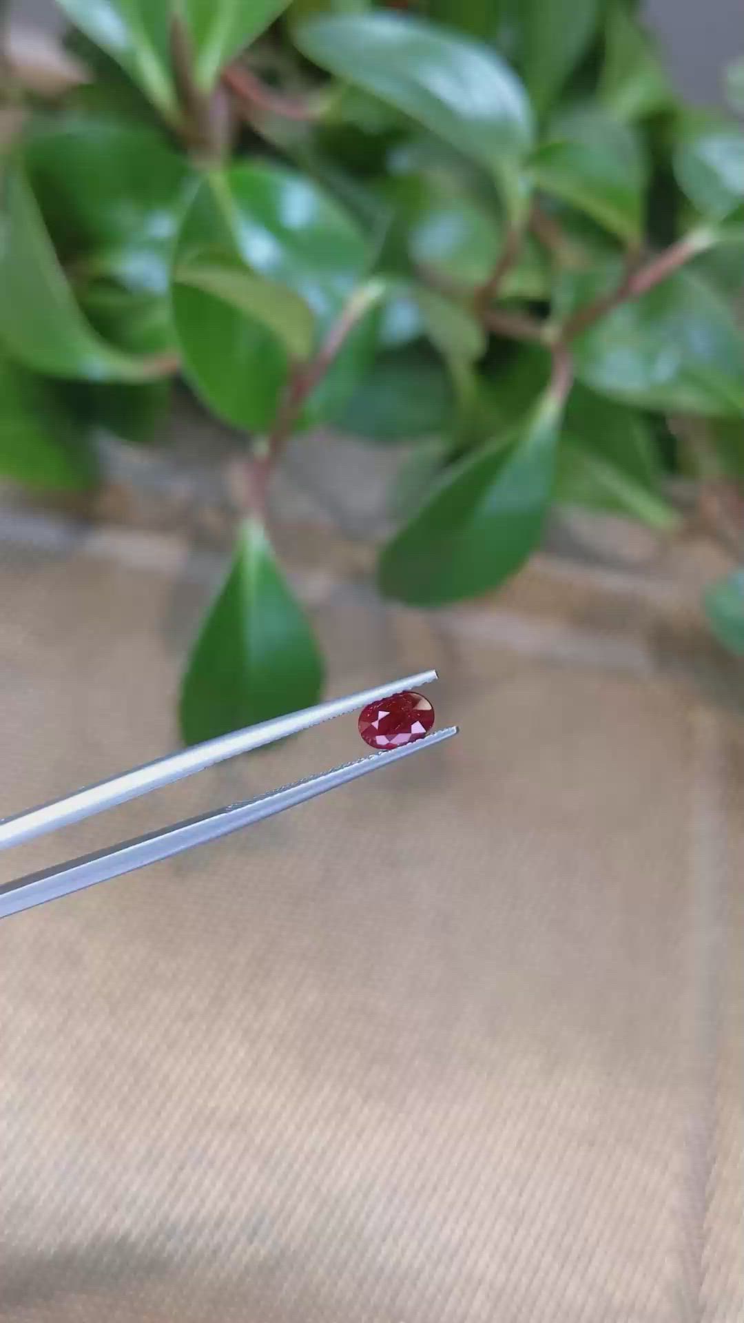 0.83 Ct. Ruby from Burma (Myanmar) Size Video