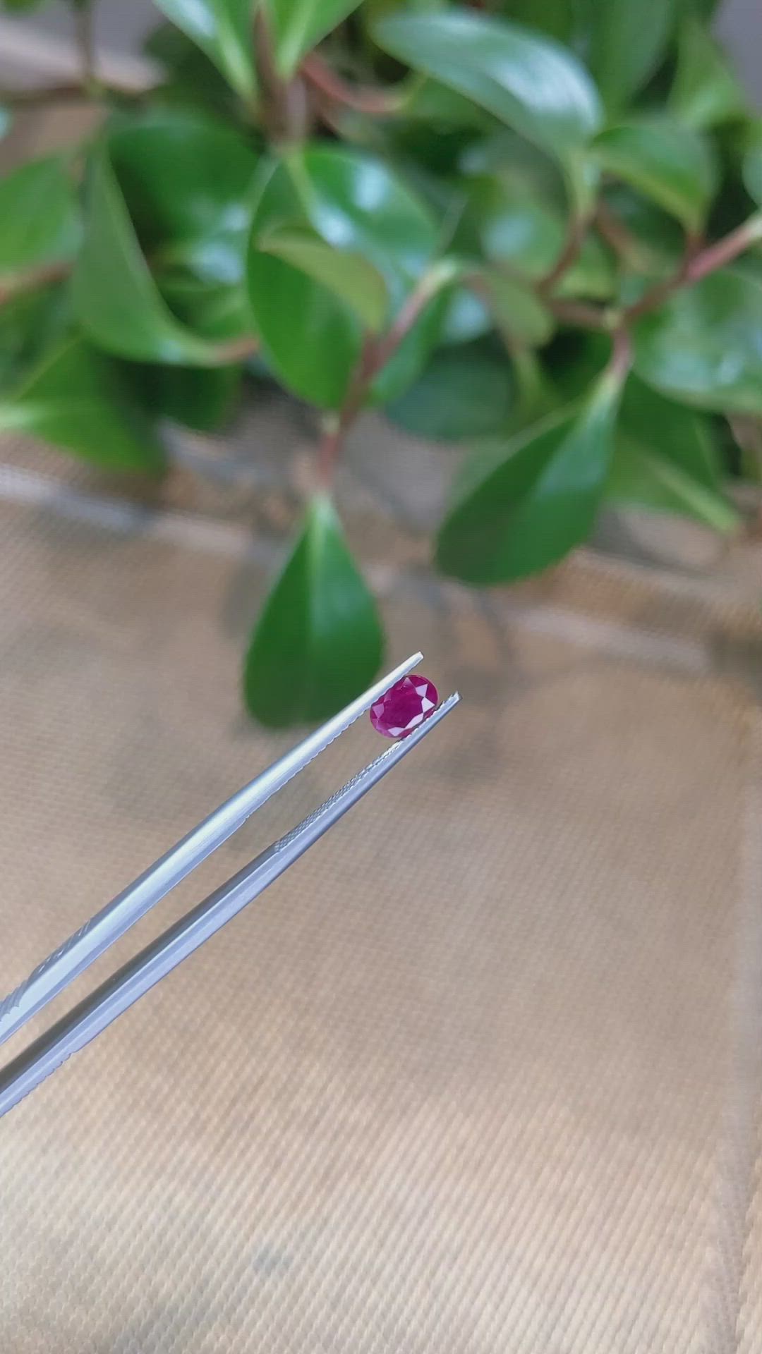 0.63 Ct. Ruby from Burma (Myanmar) Size Video
