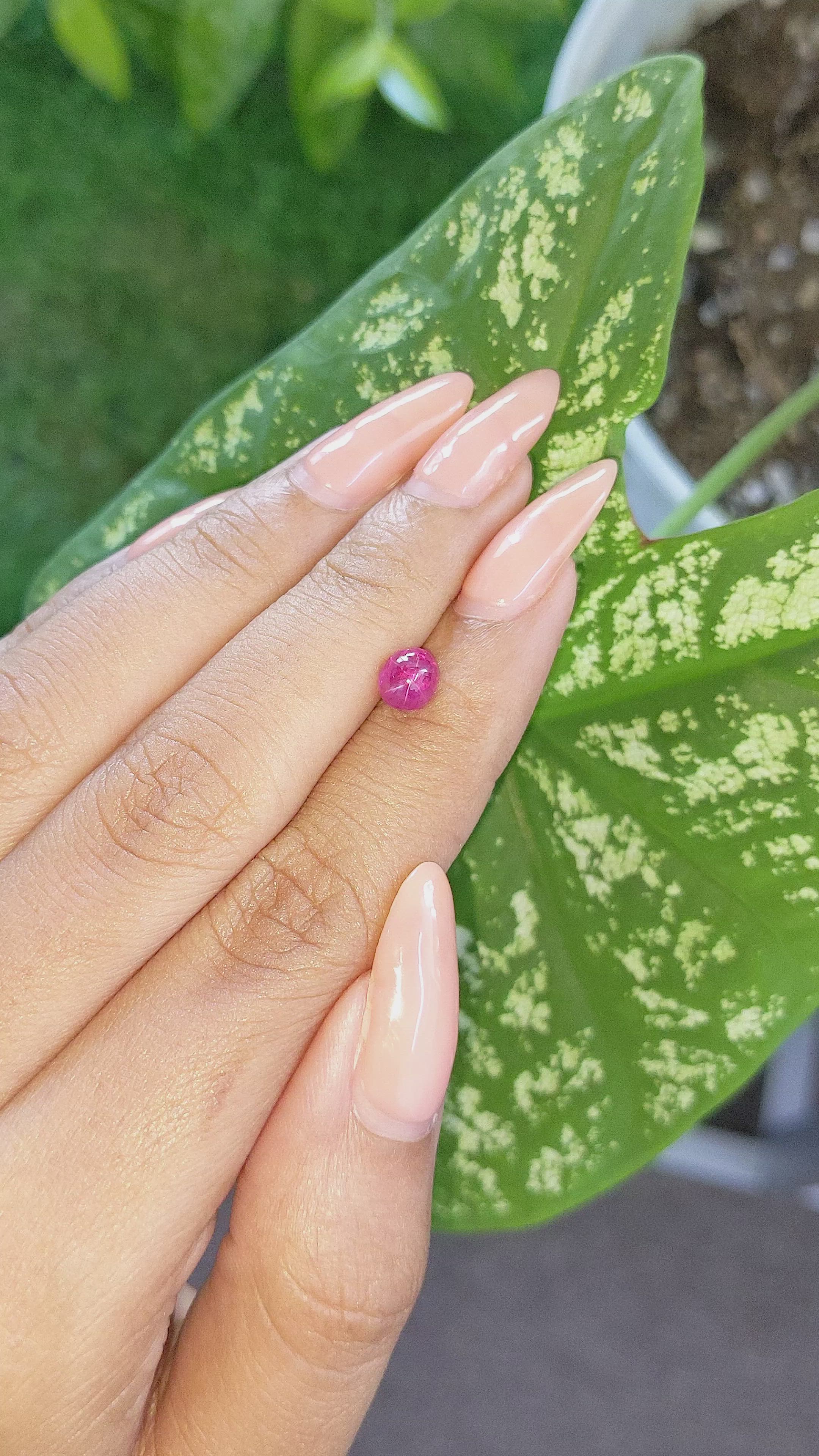 1.32 Ct. Purplish Red Star Ruby from Ceylon (Sri Lanka) Size Video