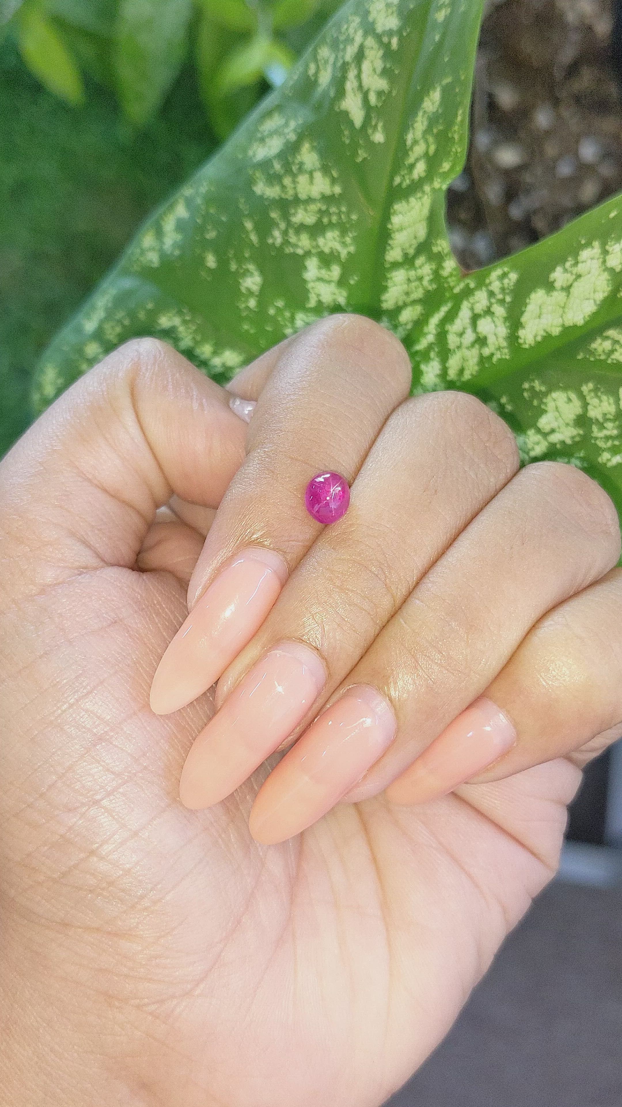 1.32 Ct. Purplish Red Star Ruby from Ceylon (Sri Lanka) Size Video