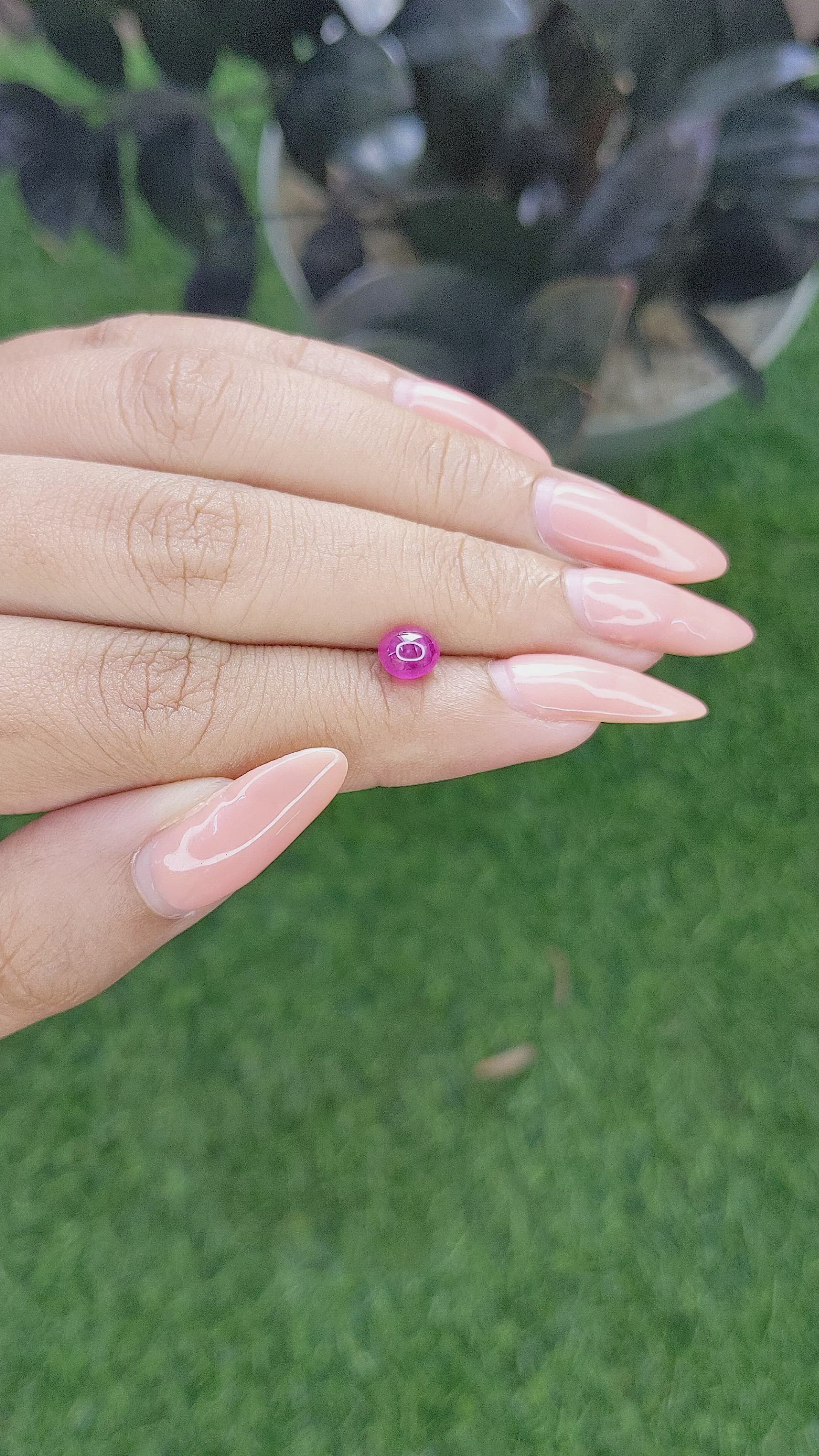 1.32 Ct. Purplish Red Star Ruby from Ceylon (Sri Lanka) Size Video