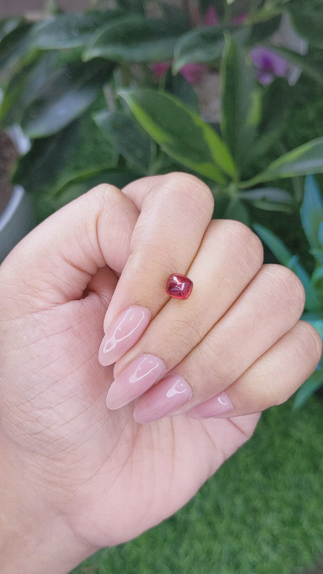 1.94 Ct. Cabochon Ruby from India Size Video