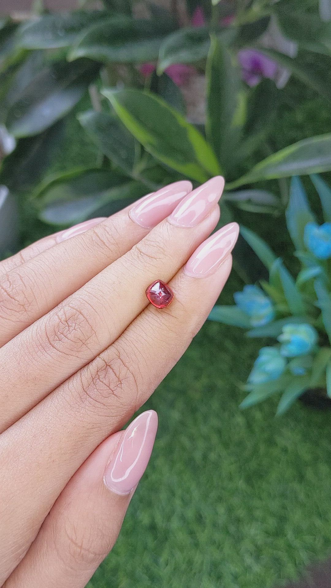 1.94 Ct. Cabochon Ruby from India Size Video