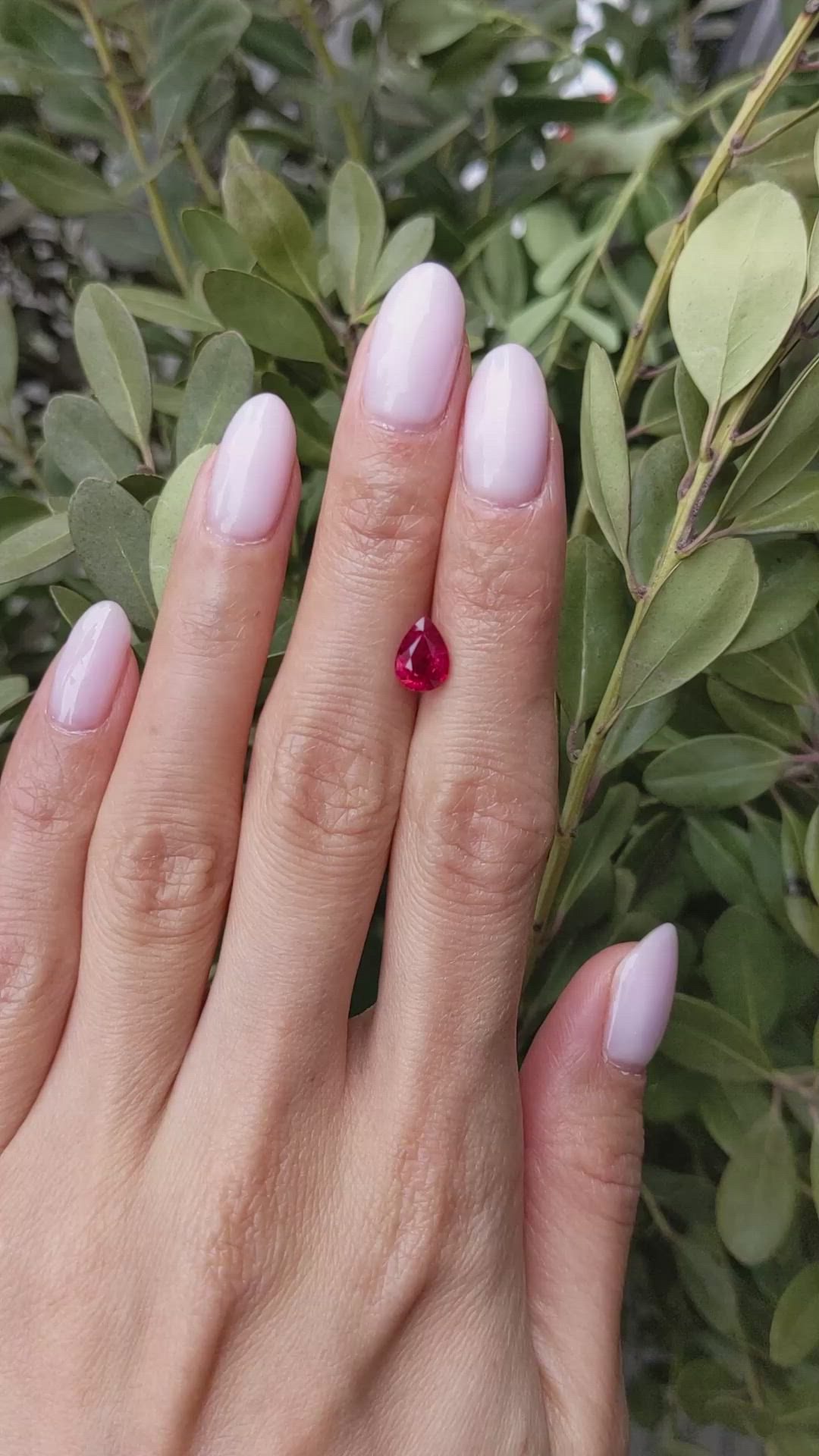 1.50 Ct. Ruby from Burma (Myanmar) Size Video