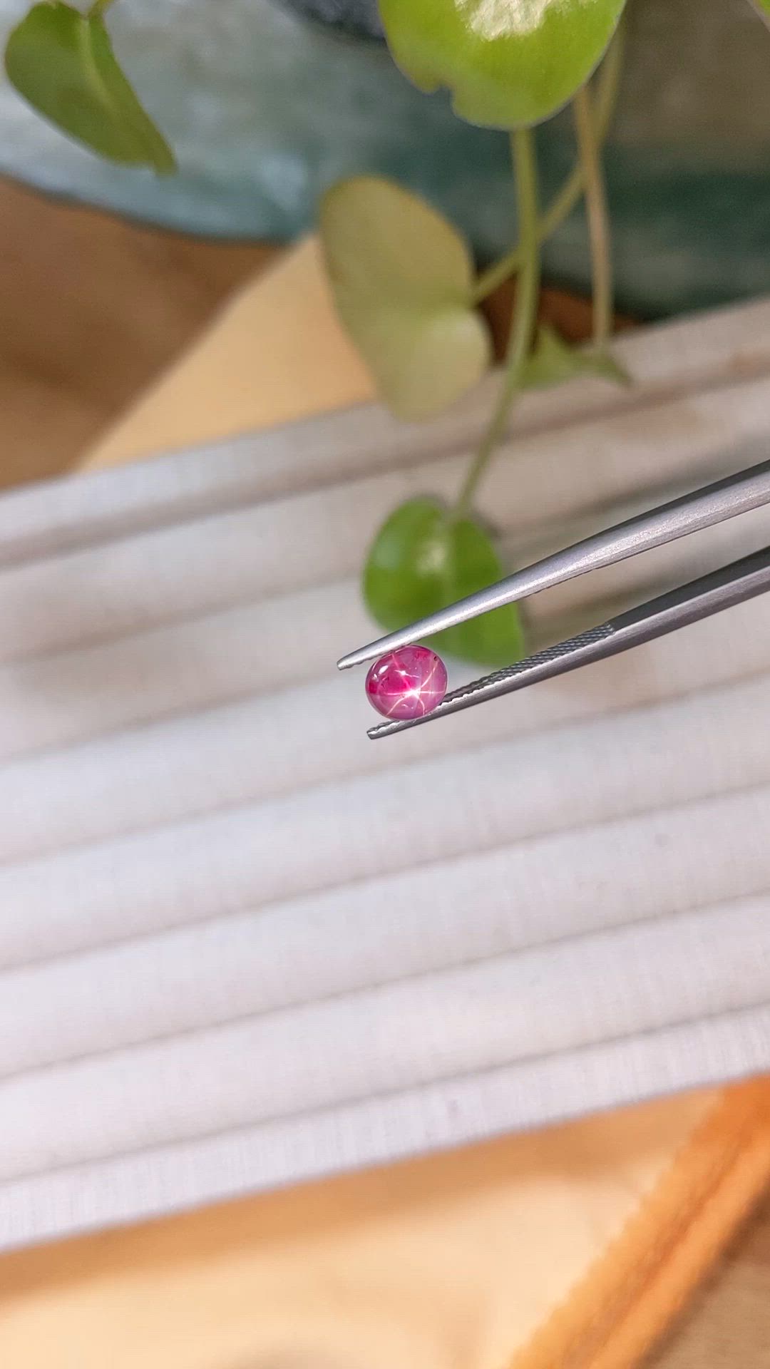 1.55 Ct. Star Ruby from Burma (Myanmar) Size Video