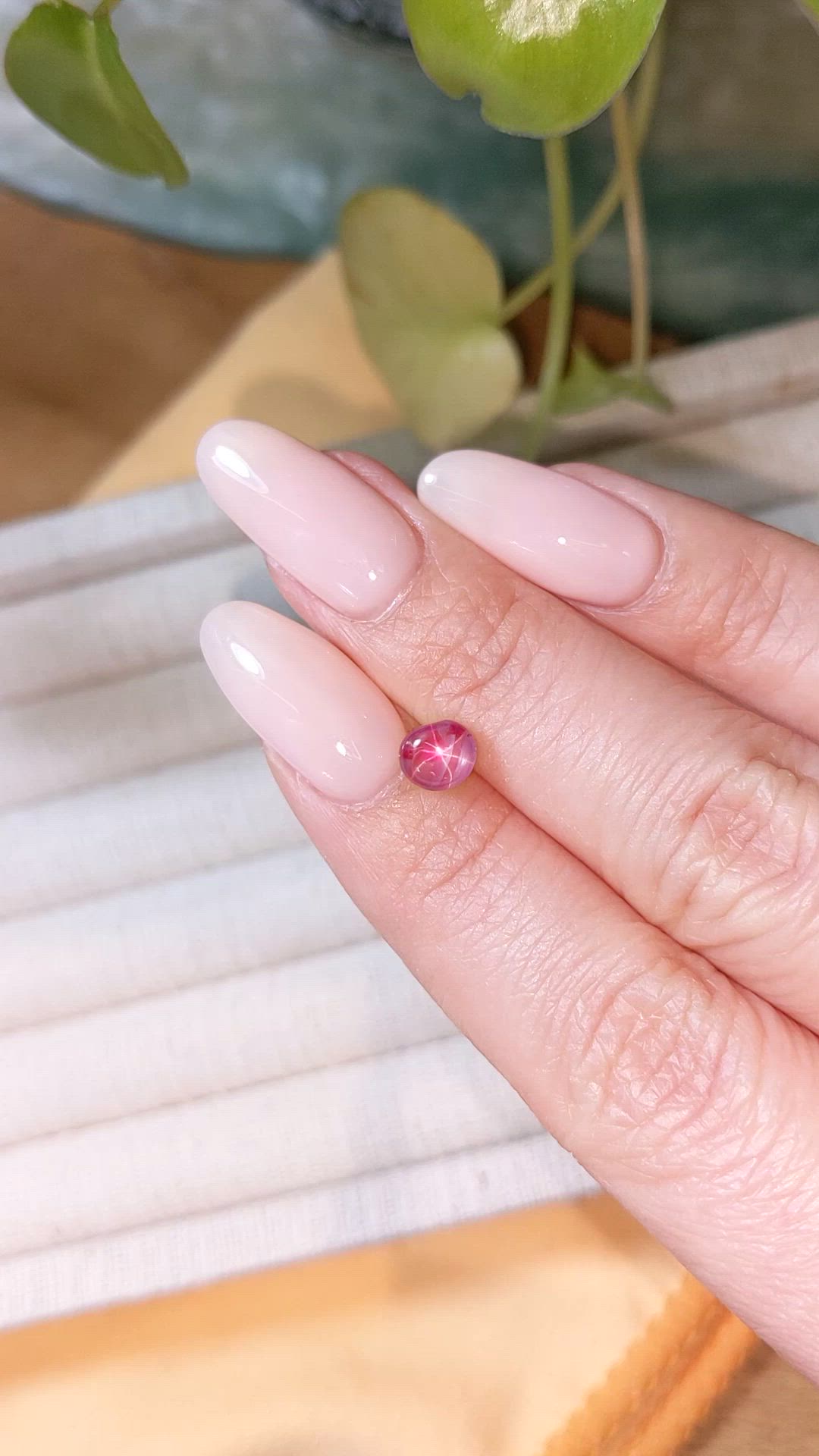 1.55 Ct. Star Ruby from Burma (Myanmar) Size Video