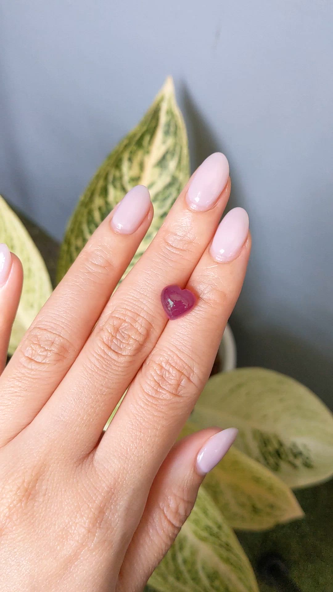 4.22 Ct. Purplish Red Cabochon Ruby from Mozambique Size Video