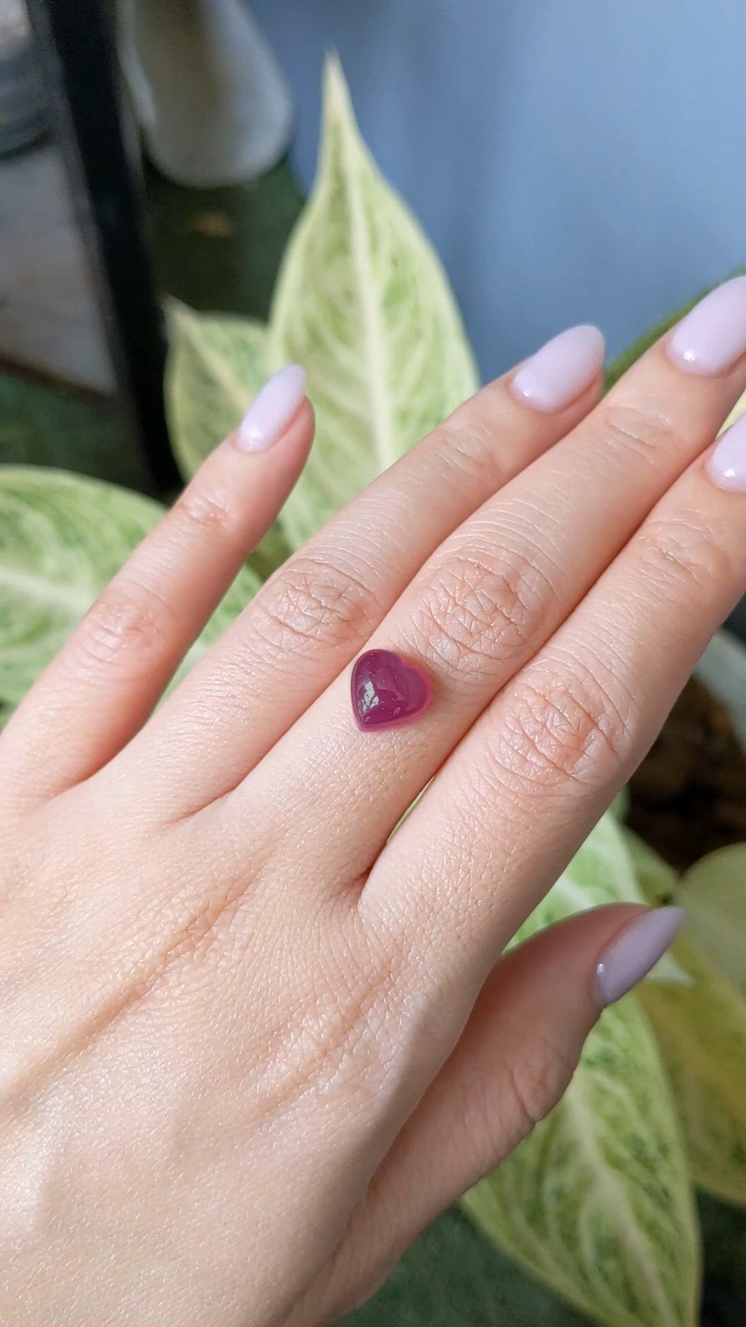 4.22 Ct. Purplish Red Cabochon Ruby from Mozambique Size Video