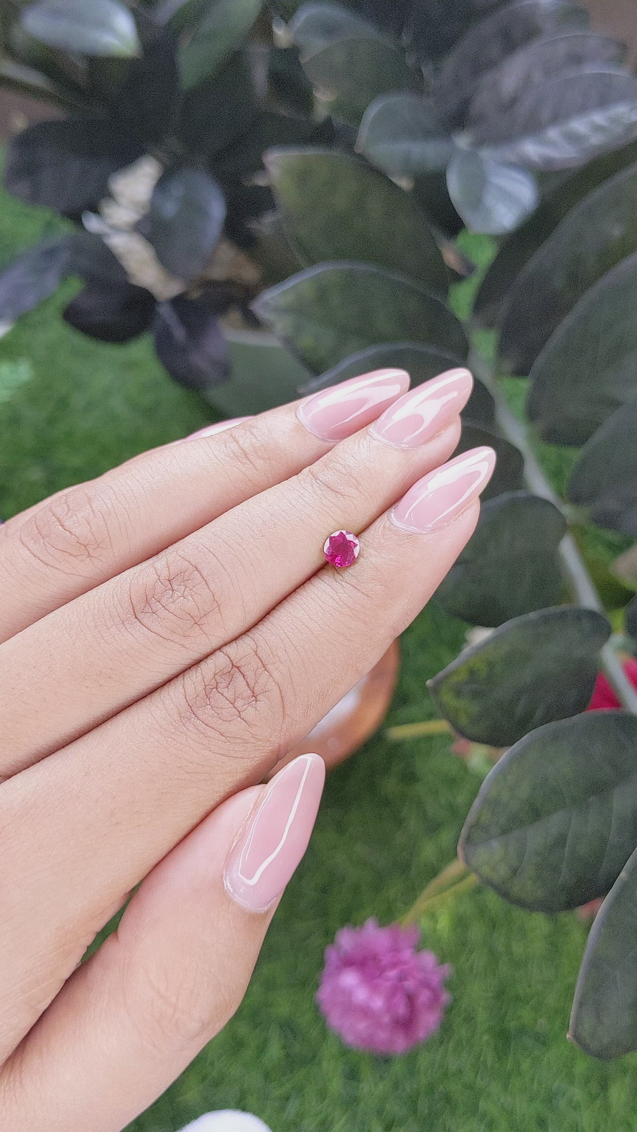 0.54 Ct. Pinkish Red Ruby from Mozambique Size Video