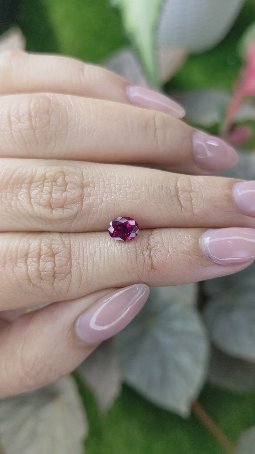 1.26 Ct. Ruby from Mozambique Size Video