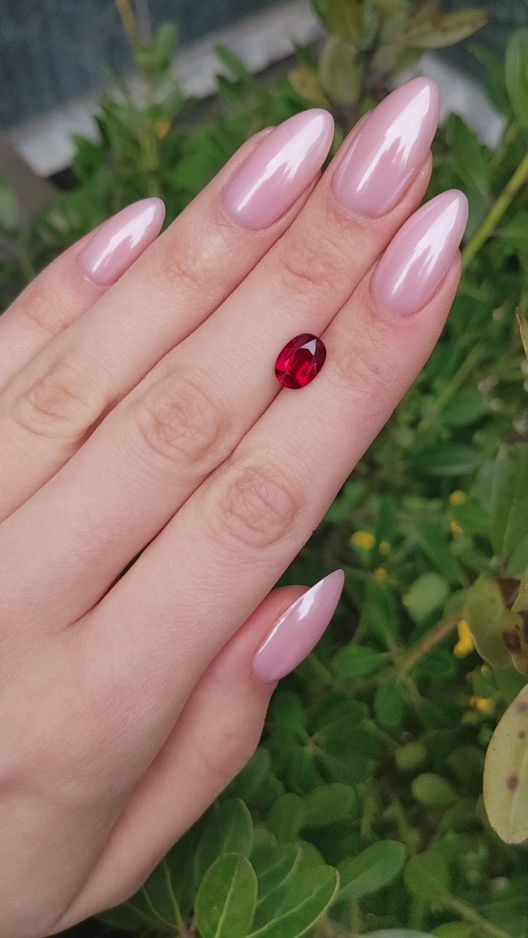 2.56 Ct. Ruby from Mozambique Size Video