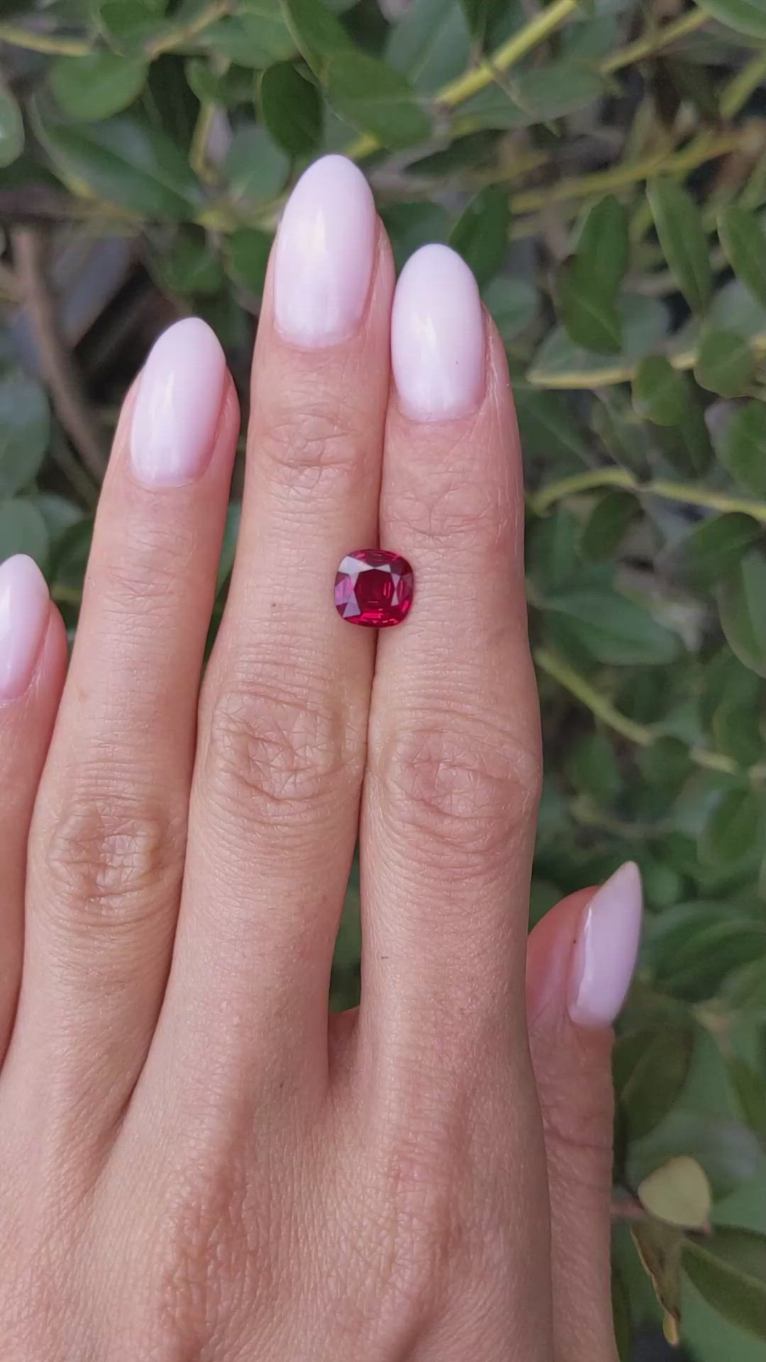 1.57 Ct. Ruby from Mozambique Size Video