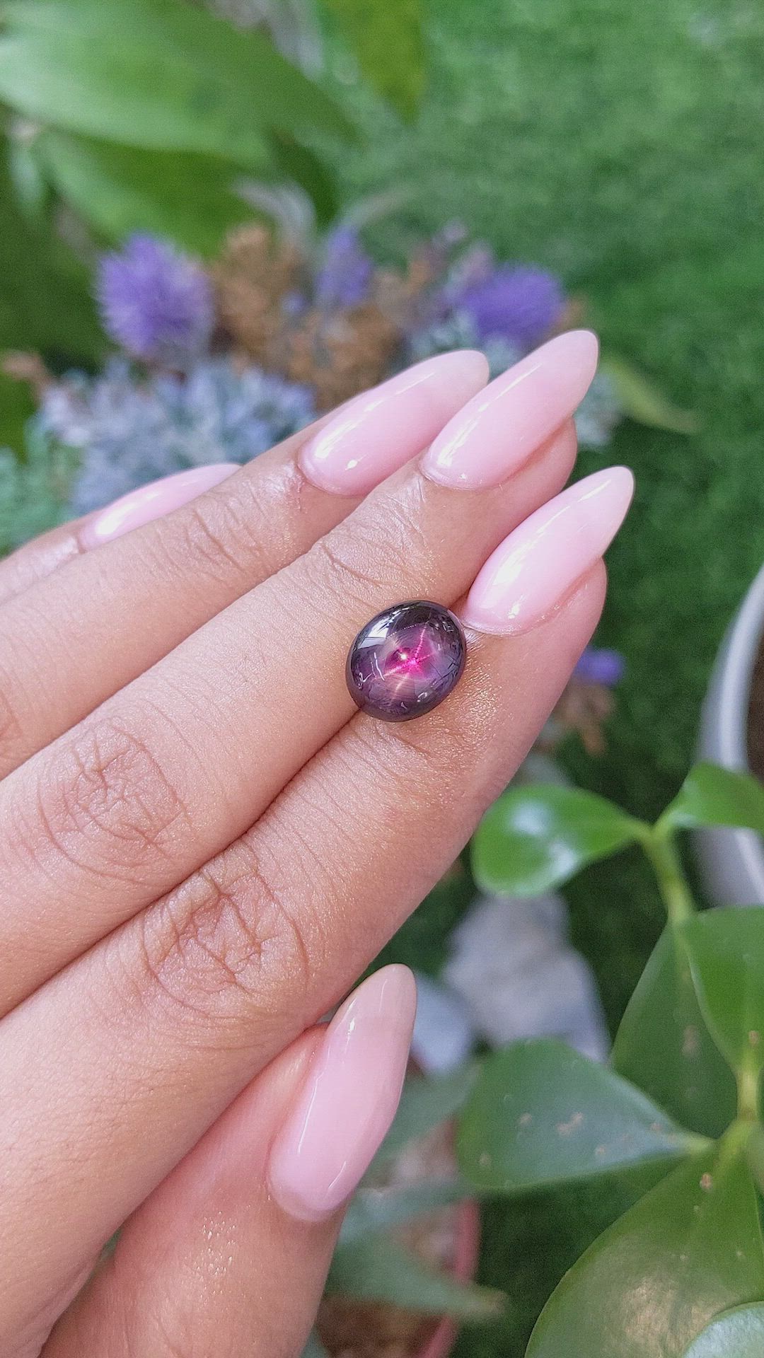 6.57 Ct. Purplish Red Star Ruby from Tanzania Size Video