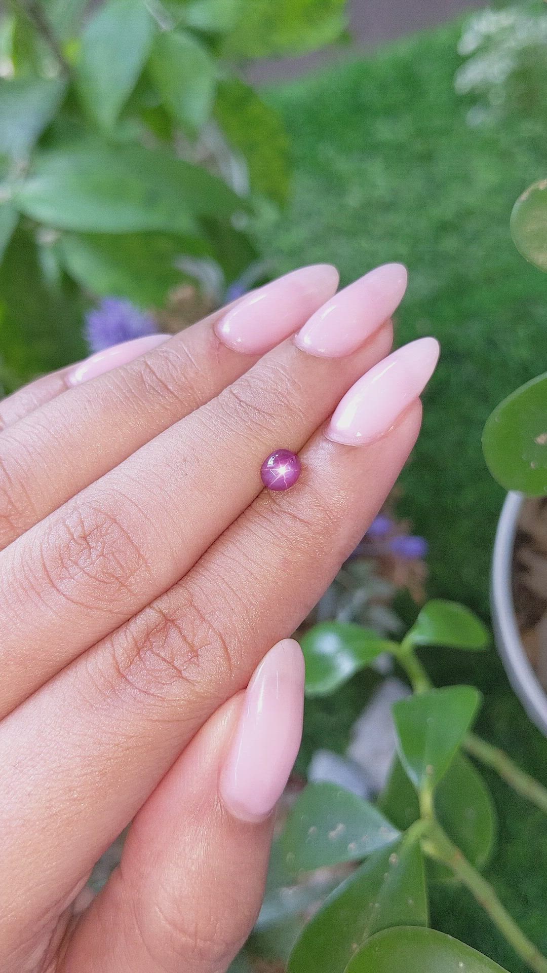 0.79 Ct. Purplish Red Star Ruby from Tanzania Size Video