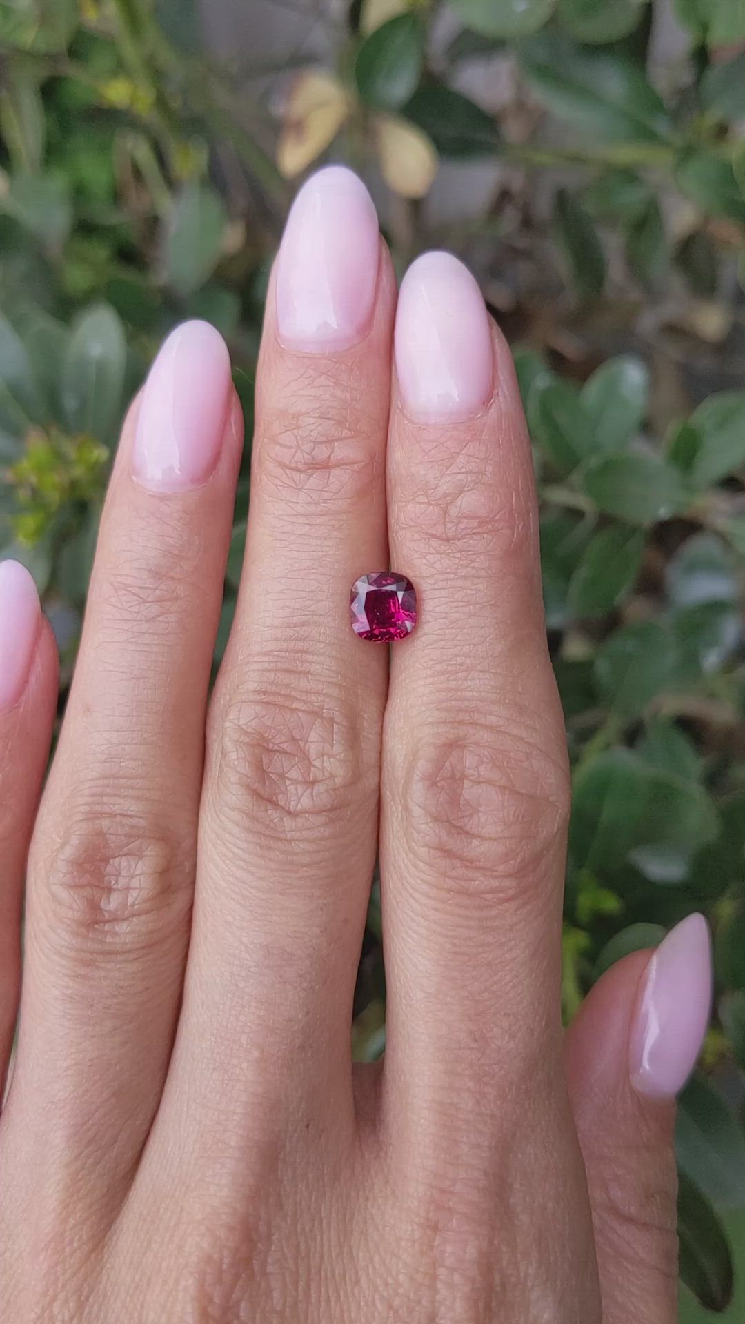 1.64 Ct. Purplish Red Ruby from Madagascar Size Video