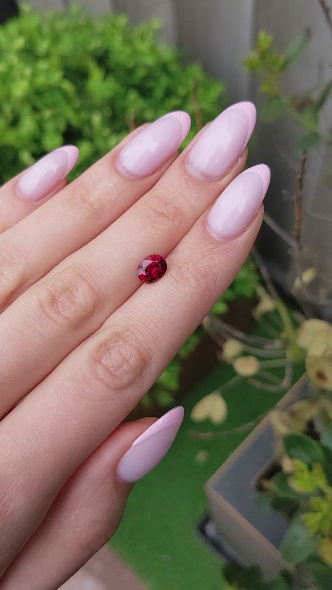 1.61 Ct. Ruby from Mozambique Size Video