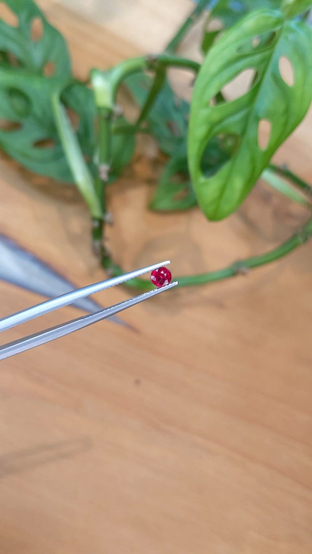 1.00 Ct. Ruby from Mozambique Size Video