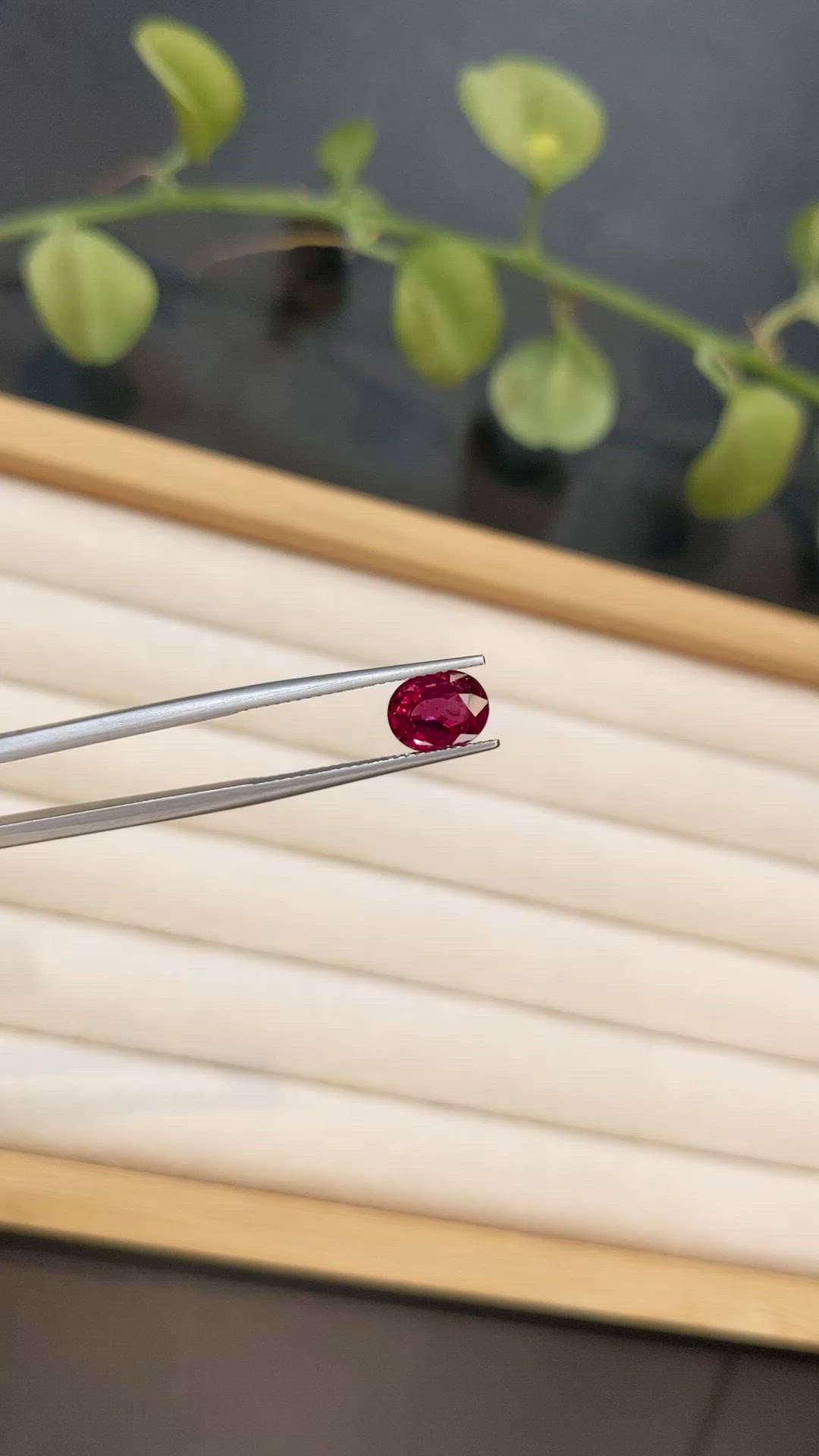 1.65 Ct. Pinkish Red Ruby from Thailand Size Video