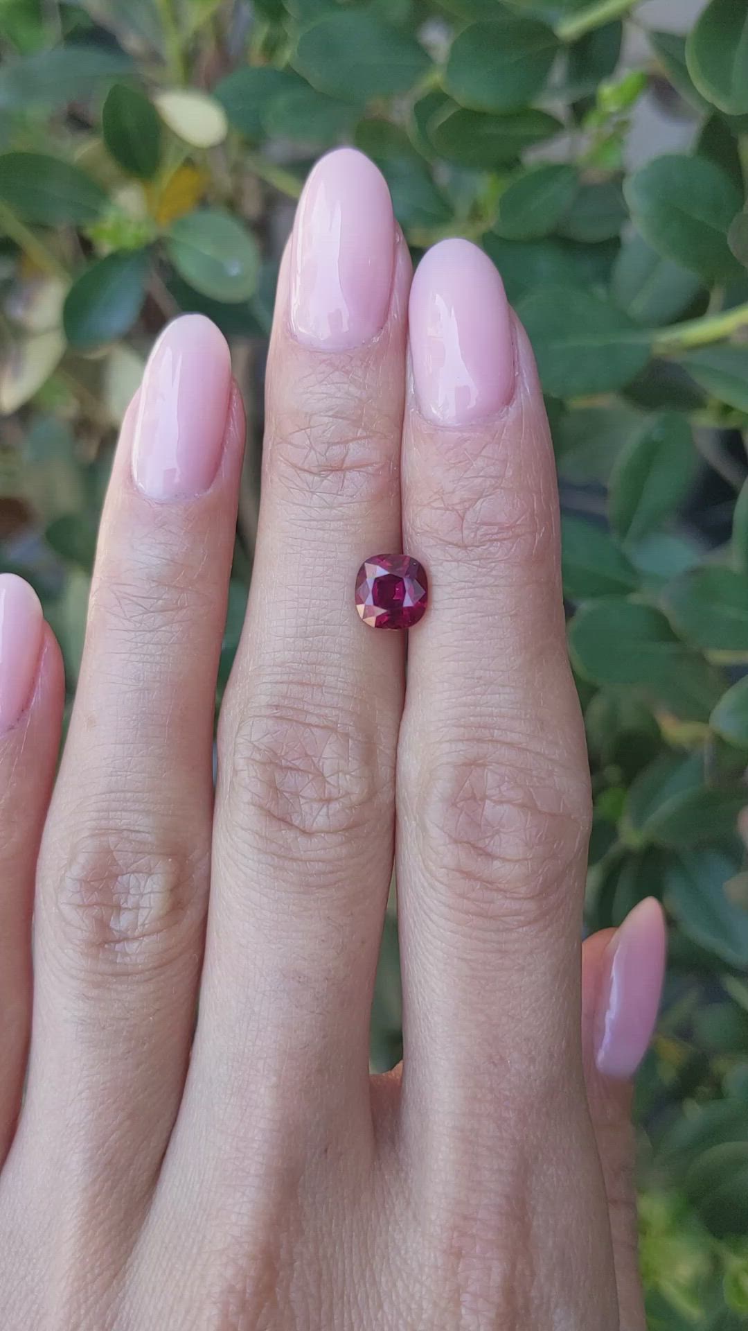 1.59 Ct. Ruby from Mozambique Size Video