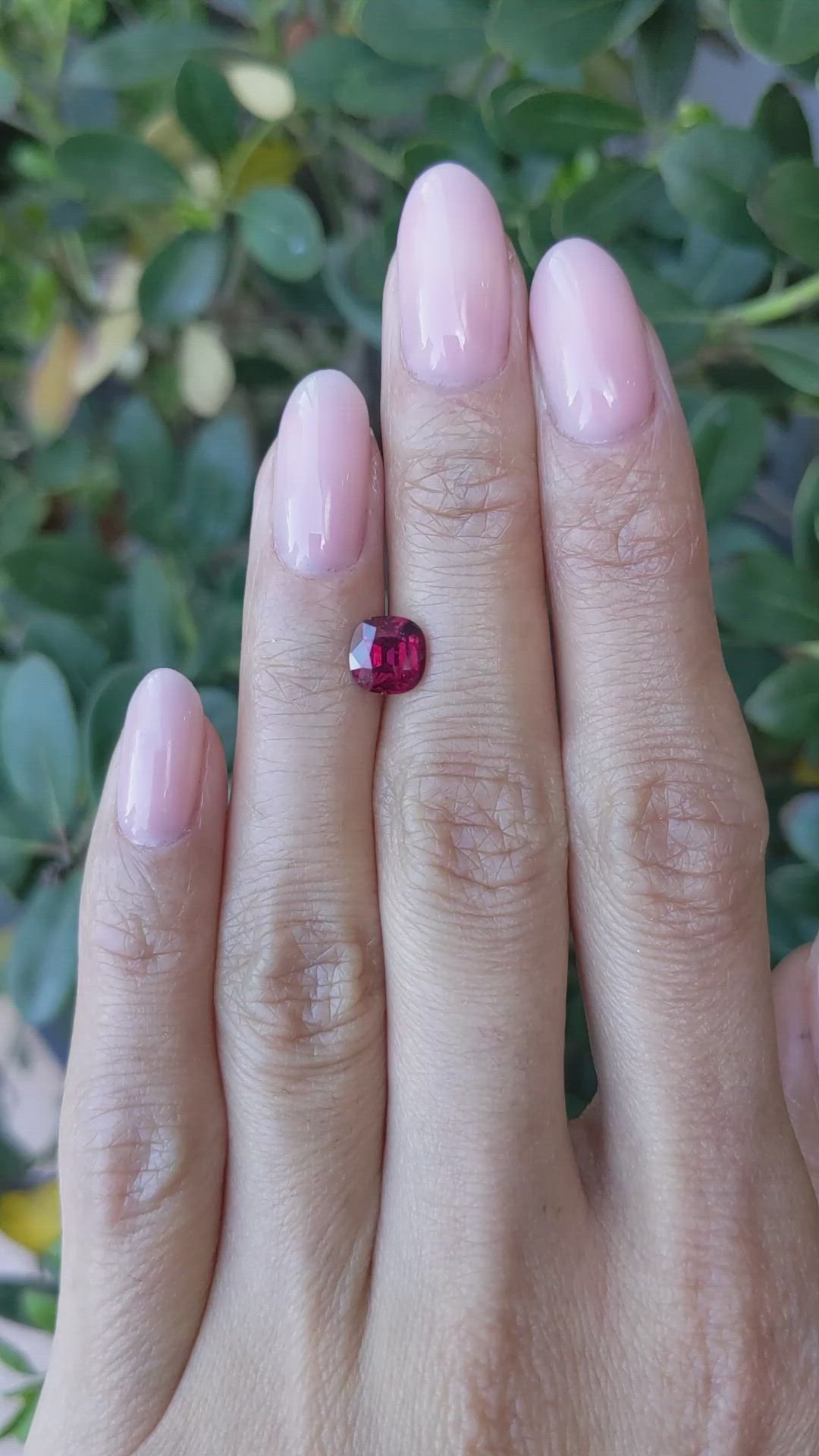 1.59 Ct. Ruby from Mozambique Size Video