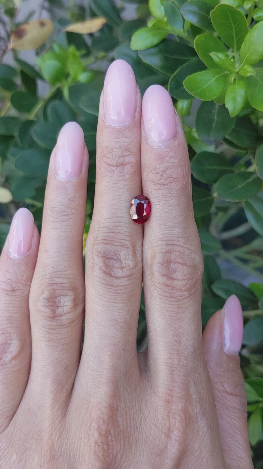 1.51 Ct. Ruby from Mozambique Size Video