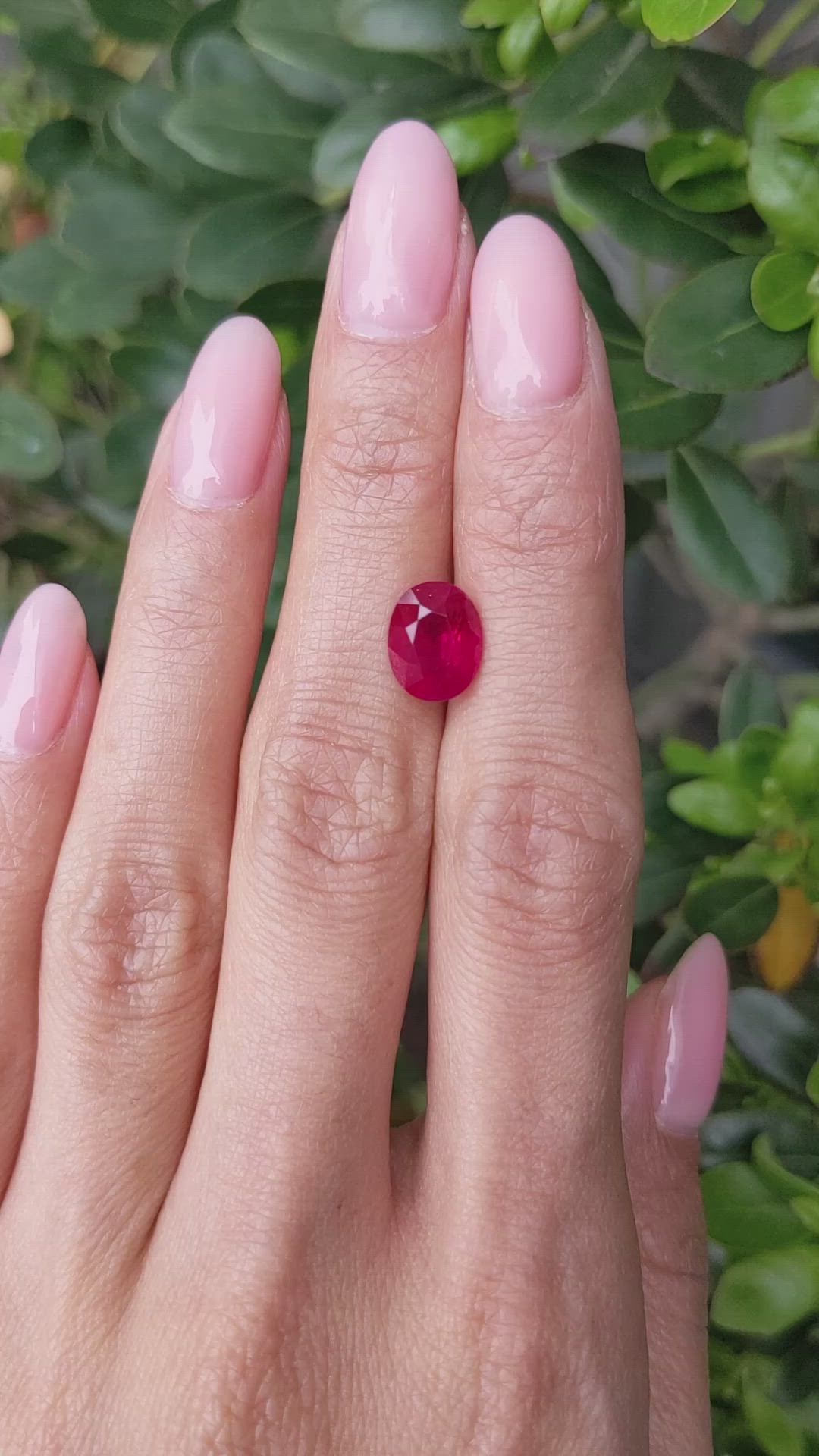 3.30 Ct. Pinkish Red Ruby from Burma (Myanmar) Size Video