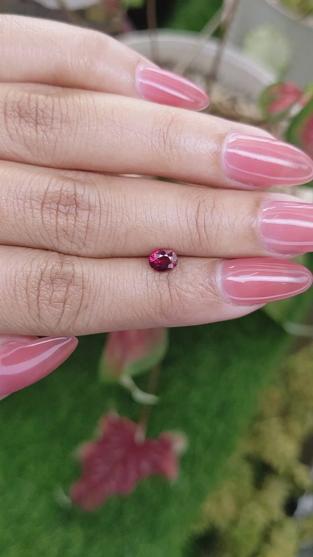 0.68 Ct. Ruby from Ceylon (Sri Lanka) Size Video