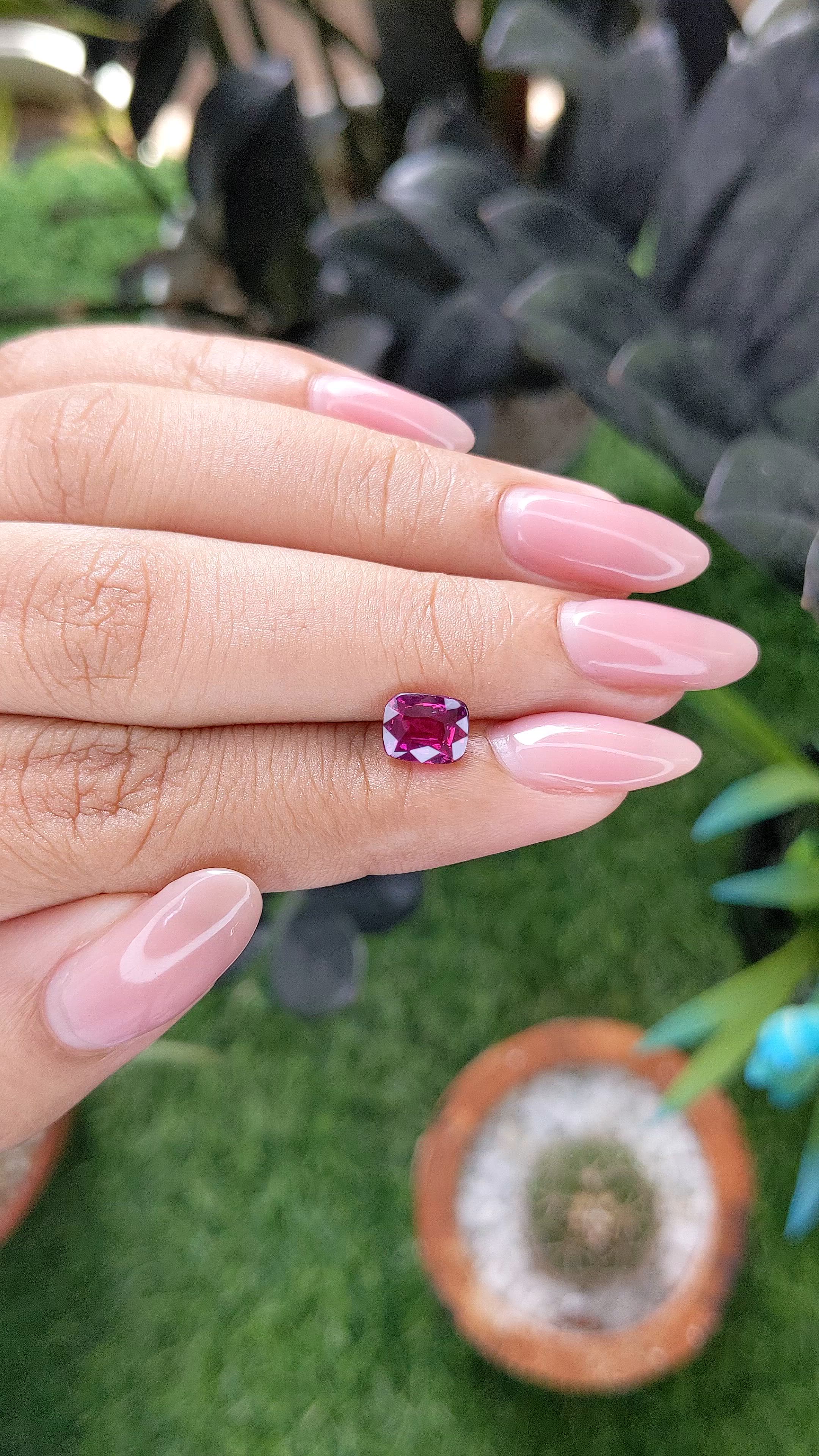 1.50 Ct. Purplish Red Ruby from Ceylon (Sri Lanka) Size Video