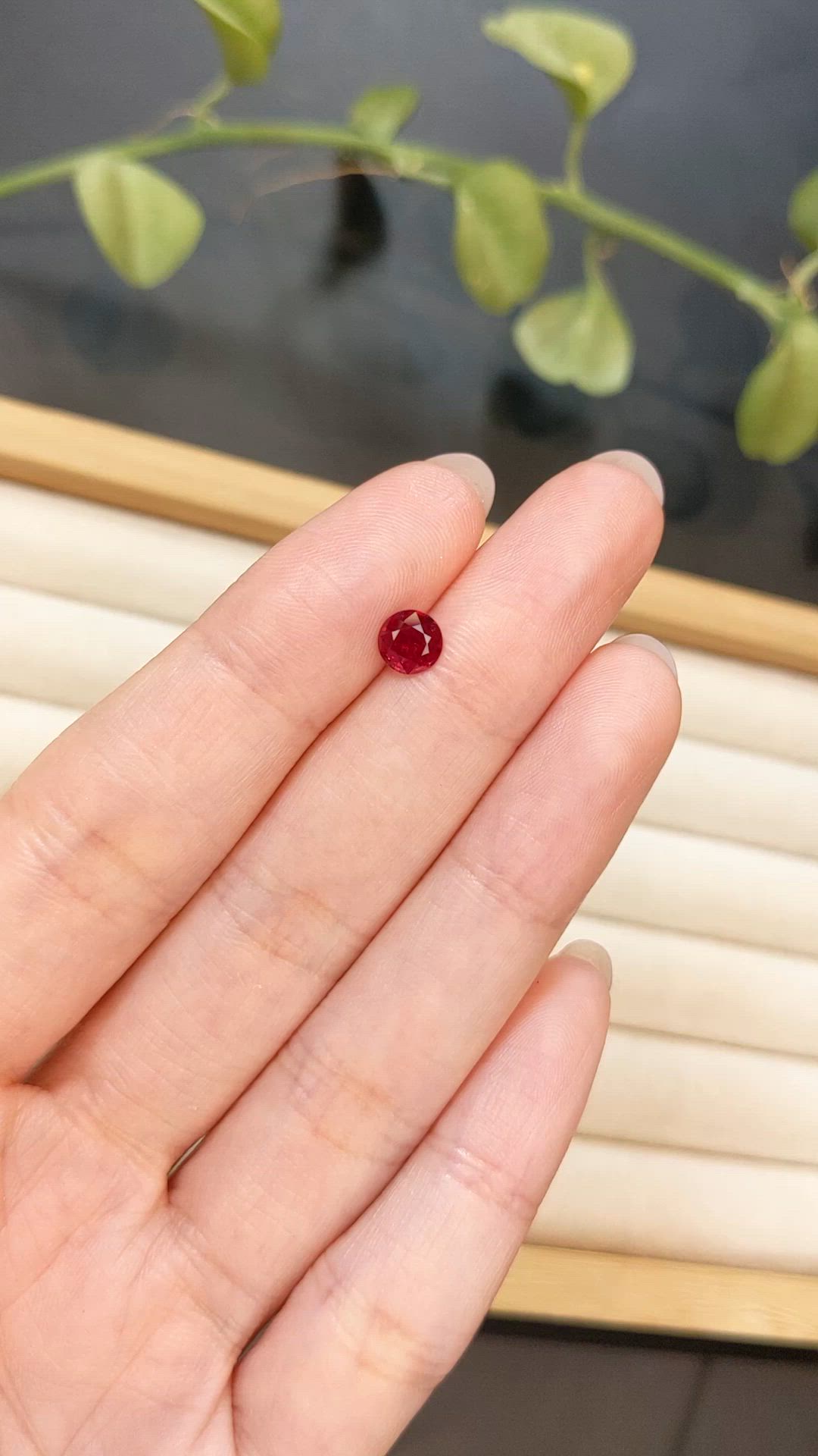 0.66 Ct. Ruby from Mozambique Size Video