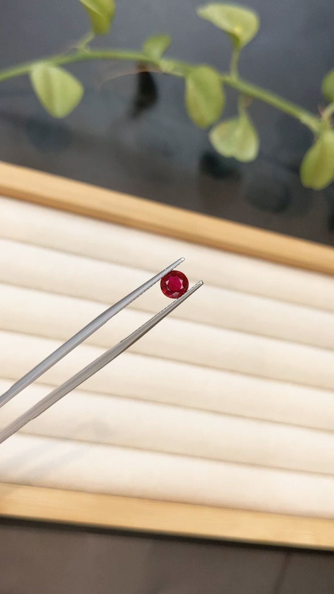 0.66 Ct. Ruby from Mozambique Size Video