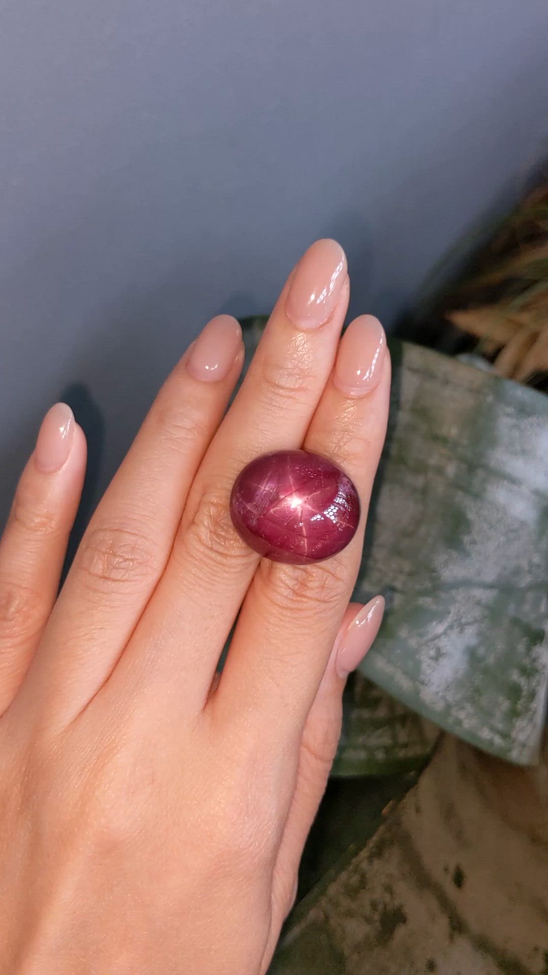 61.54 Ct. Purplish Red Star Ruby from Madagascar Size Video