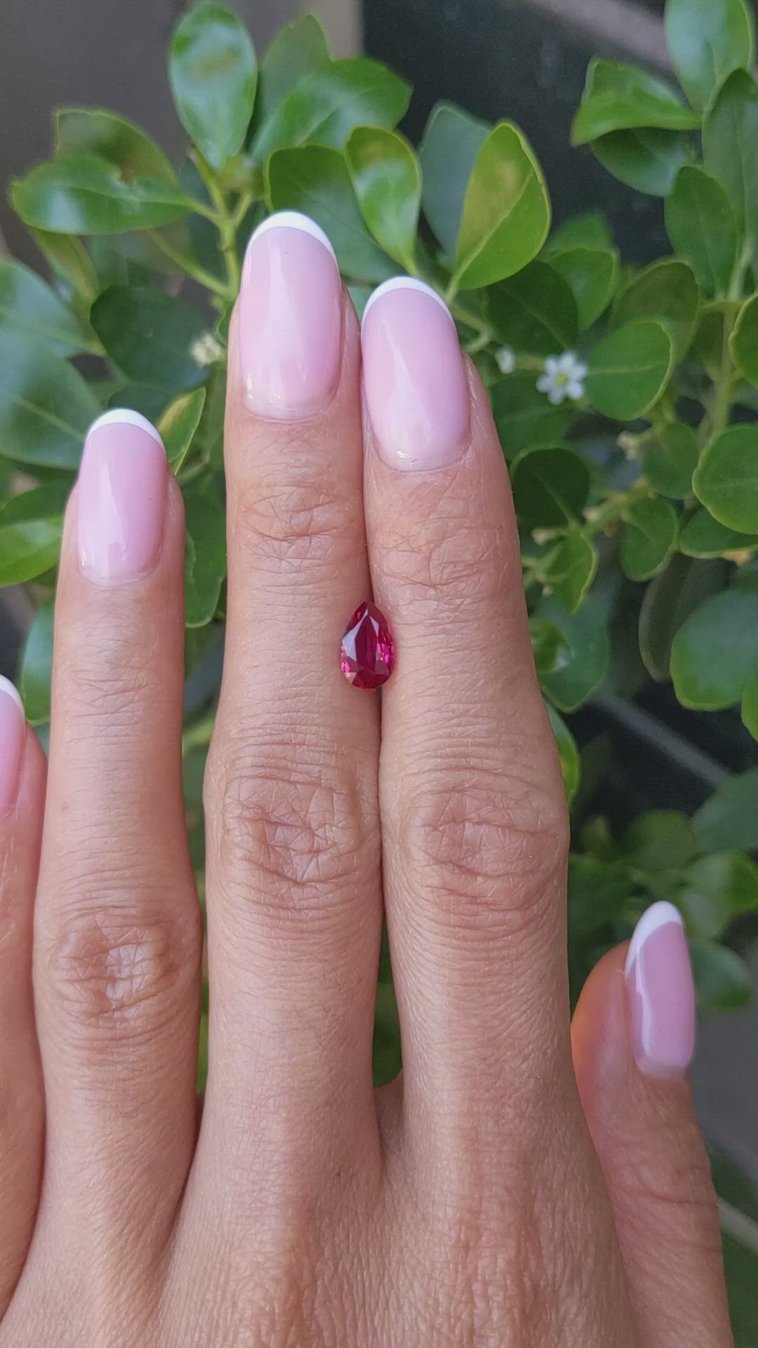 1.16 Ct. Ruby from Mozambique Size Video