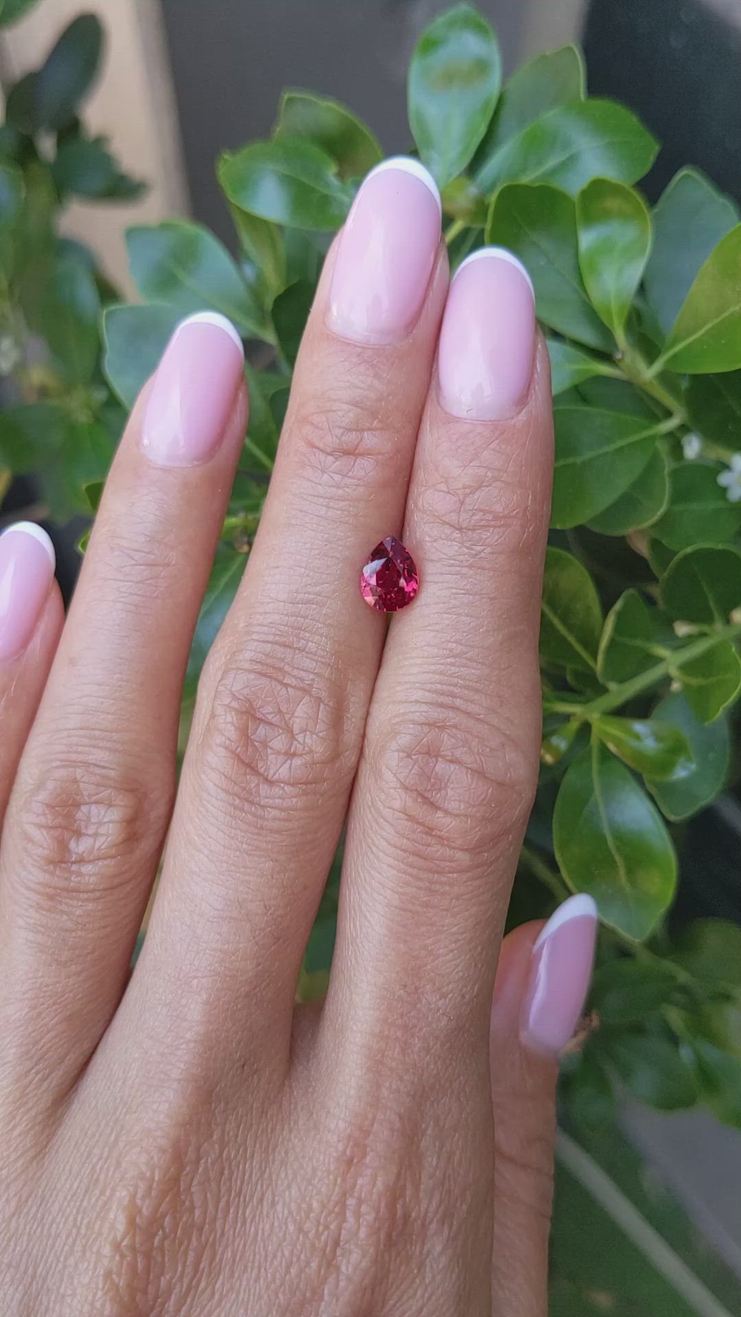 1.32 Ct. Ruby from Mozambique Size Video