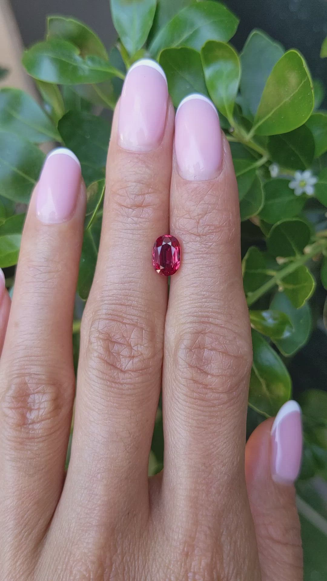 1.46 Ct. Pinkish Red Ruby from Mozambique Size Video