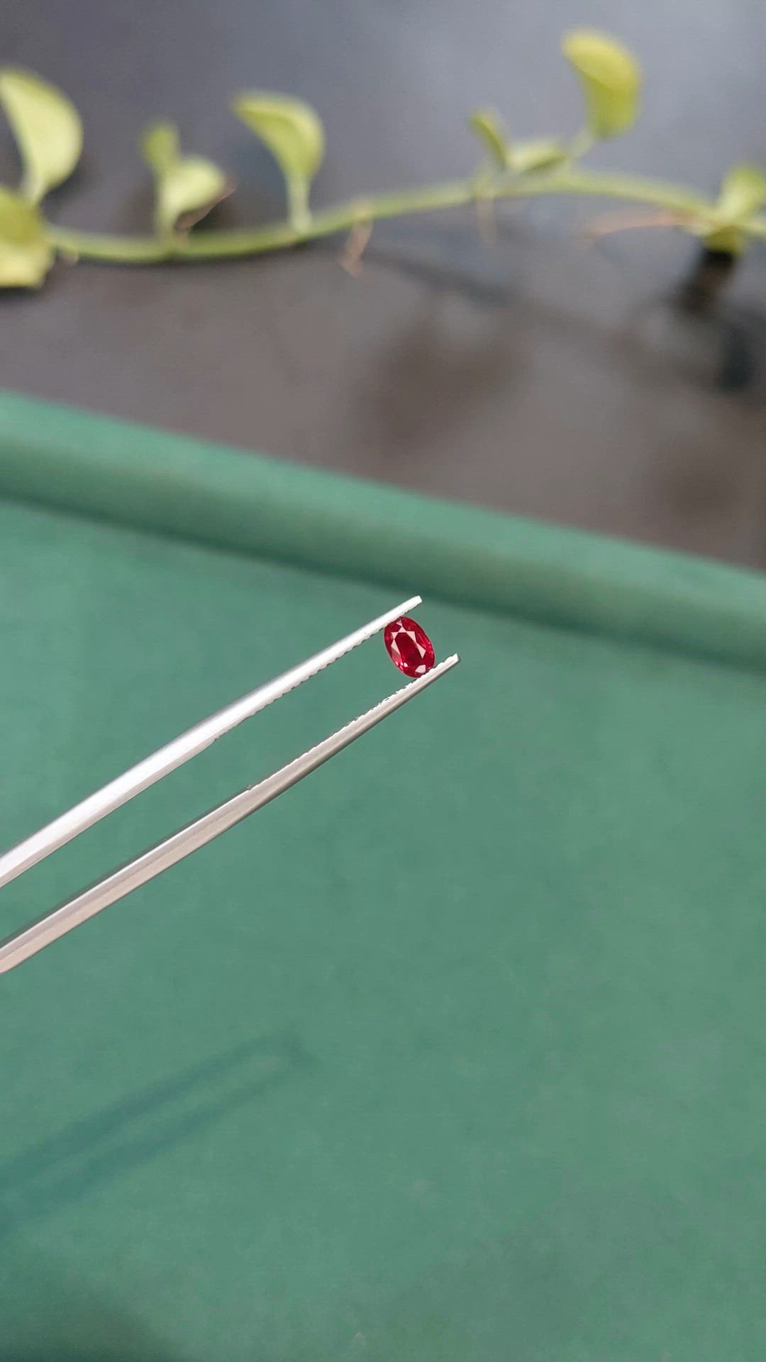 0.46 Ct. Ruby from Burma (Myanmar) Size Video