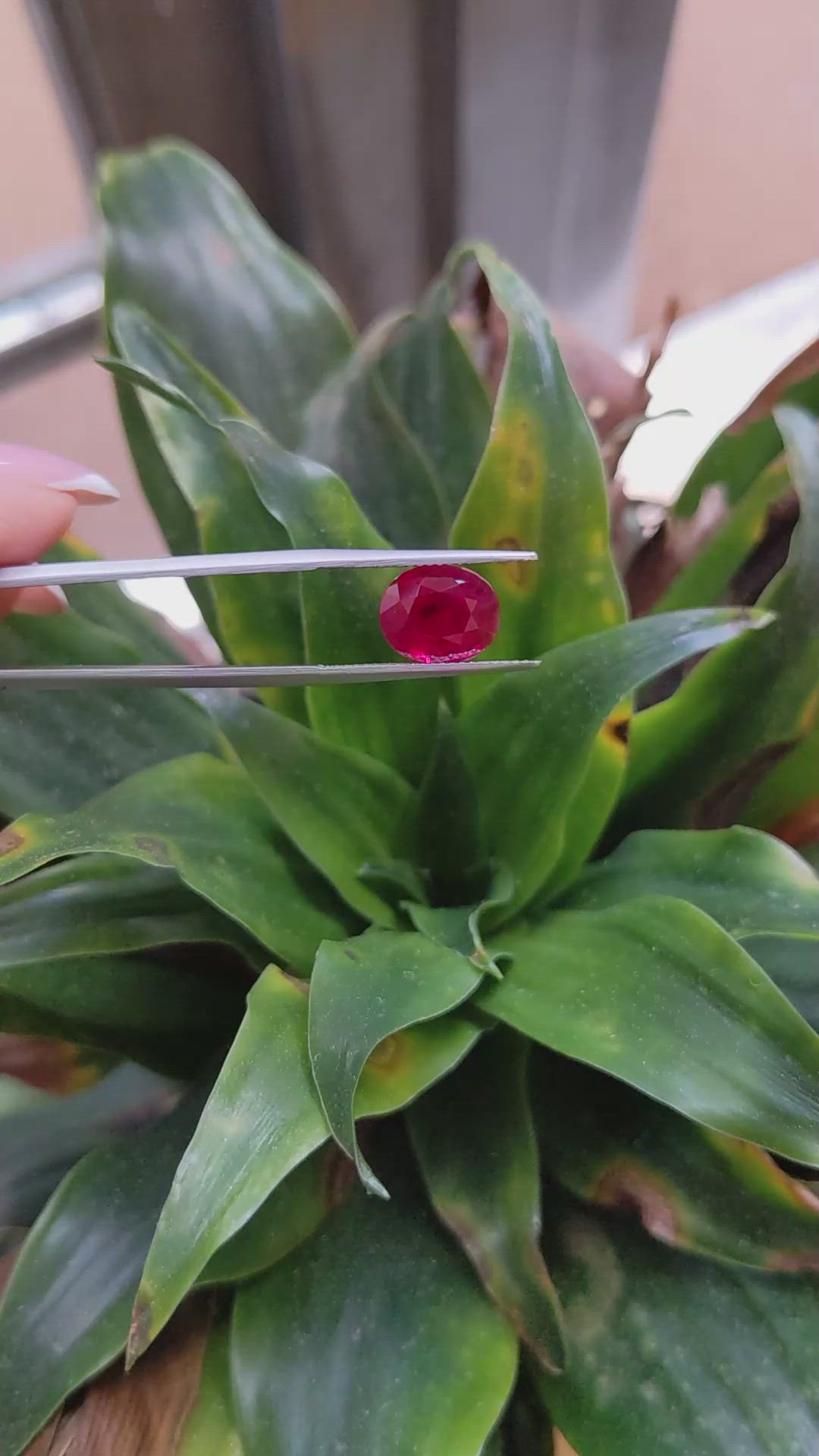 5.04 Ct. Ruby from Burma (Myanmar) Size Video