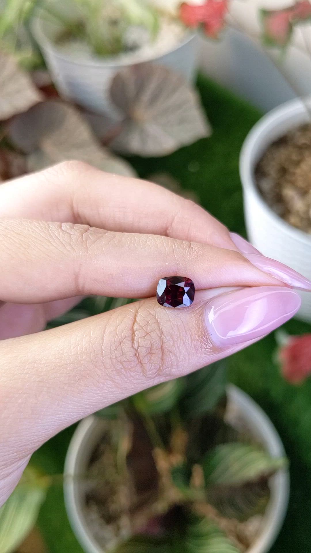 2.03 Ct. Purplish Red Ruby from Ceylon (Sri Lanka) Size Video
