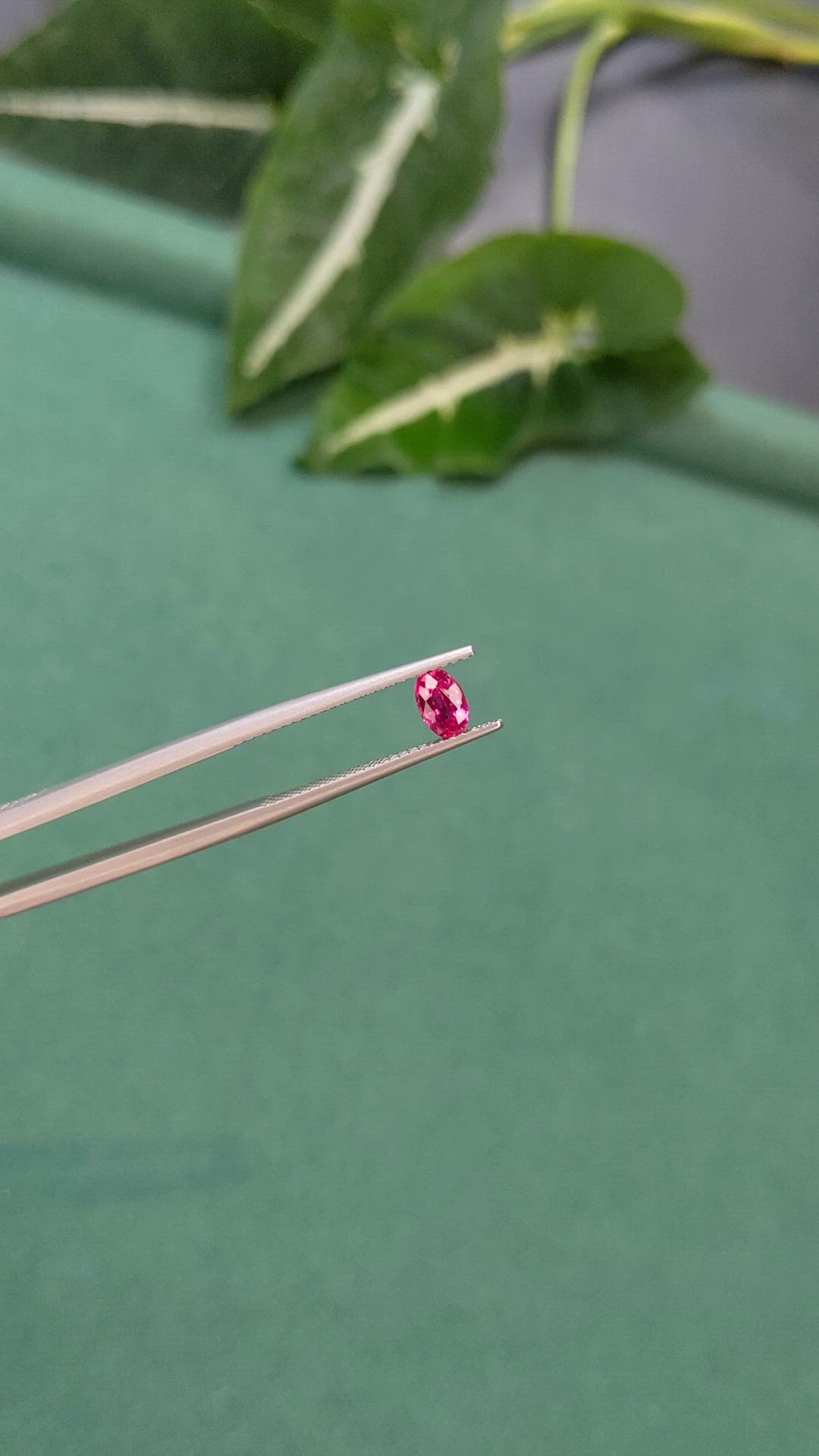 0.65 Ct. Pinkish Red Ruby from Mozambique Size Video