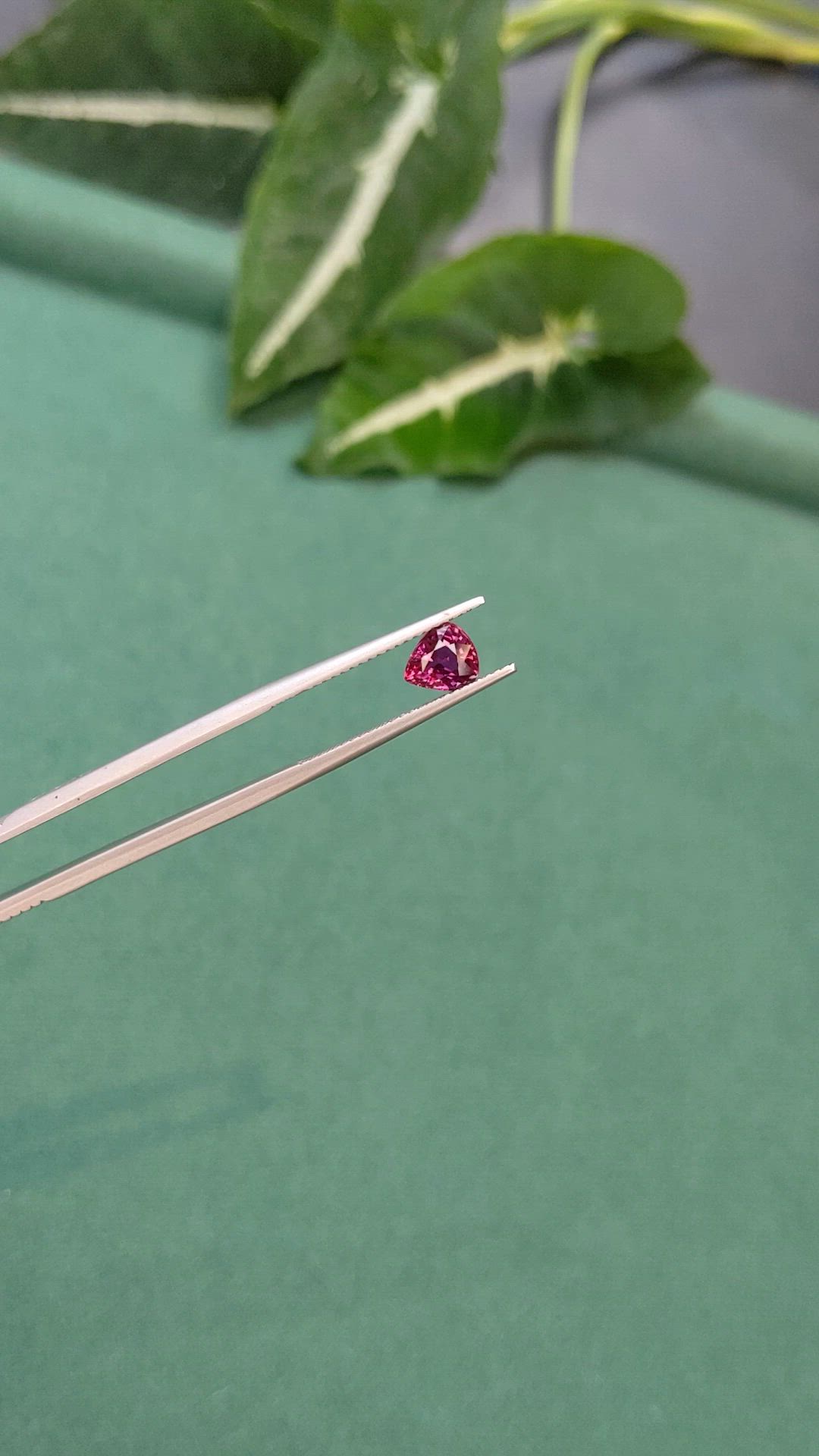 1.19 Ct. Purplish Red Ruby from Mozambique Size Video